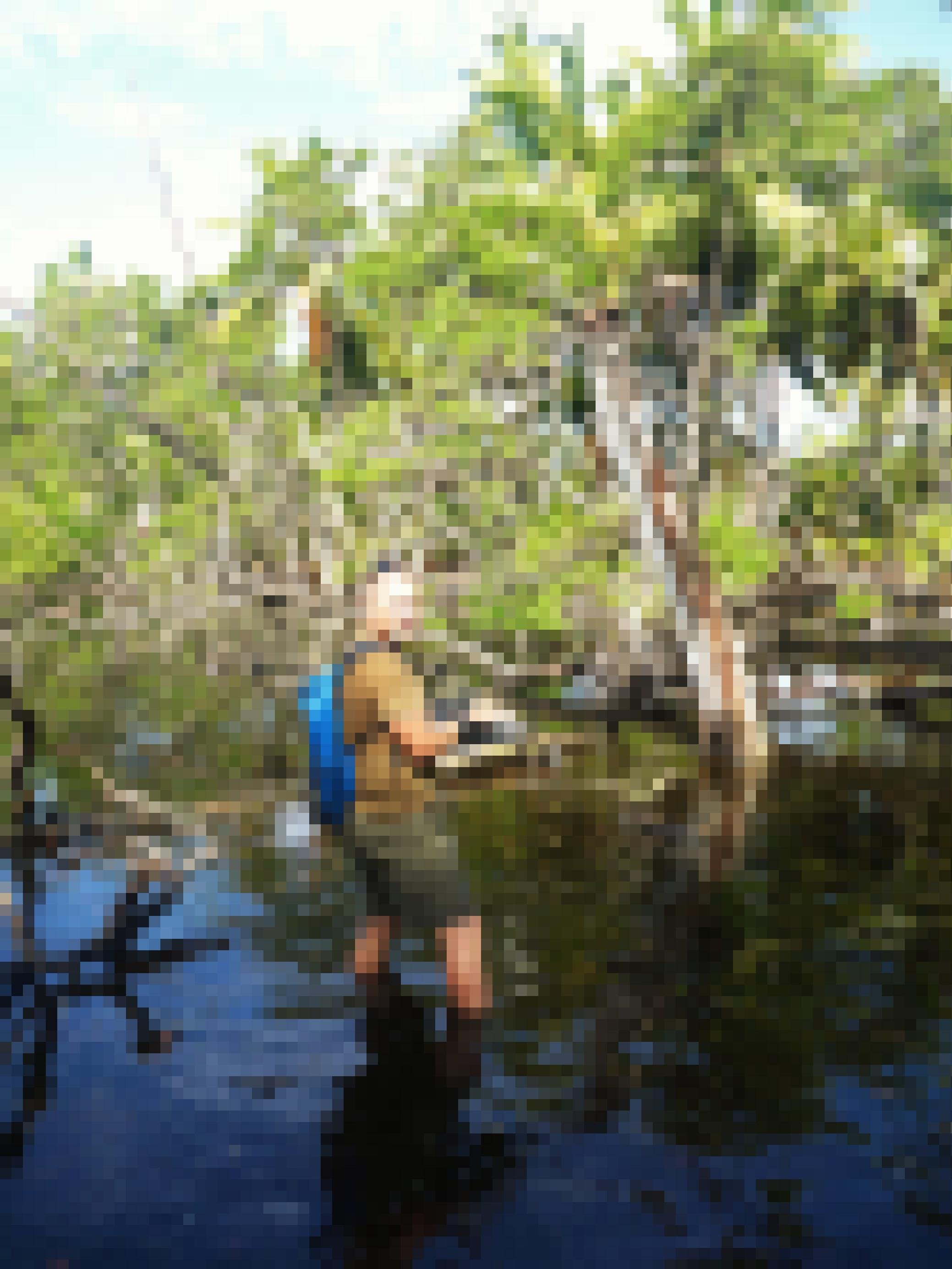 Der Ornithologe Peter Carr steht mit dem Klemmbrett in einer Mangroven-Landschaft.