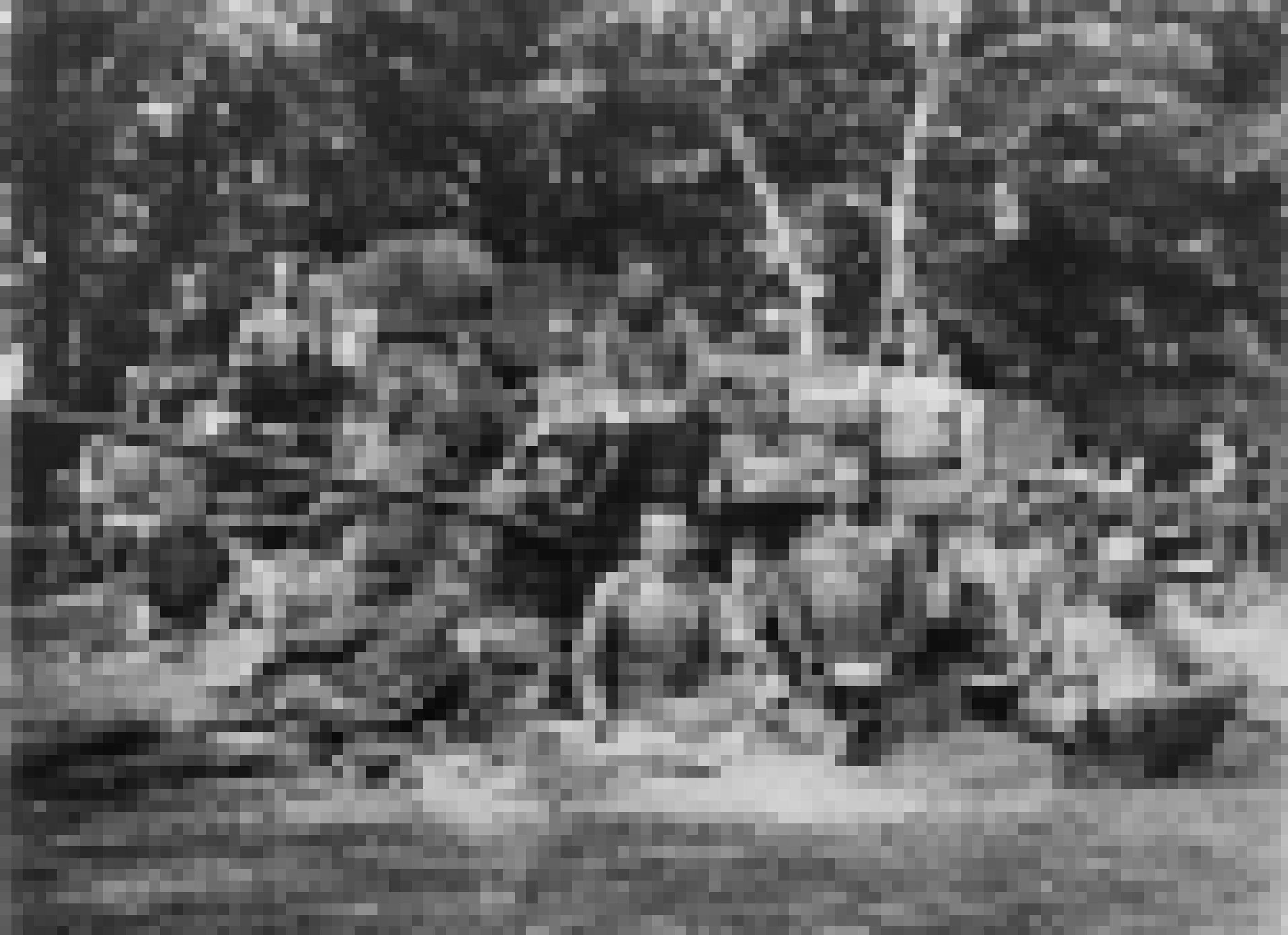 Das Schwarzweißfoto zeigt eine Gruppe posierender Soldaten vor einem Karren und hochgewachsenen Büschen.