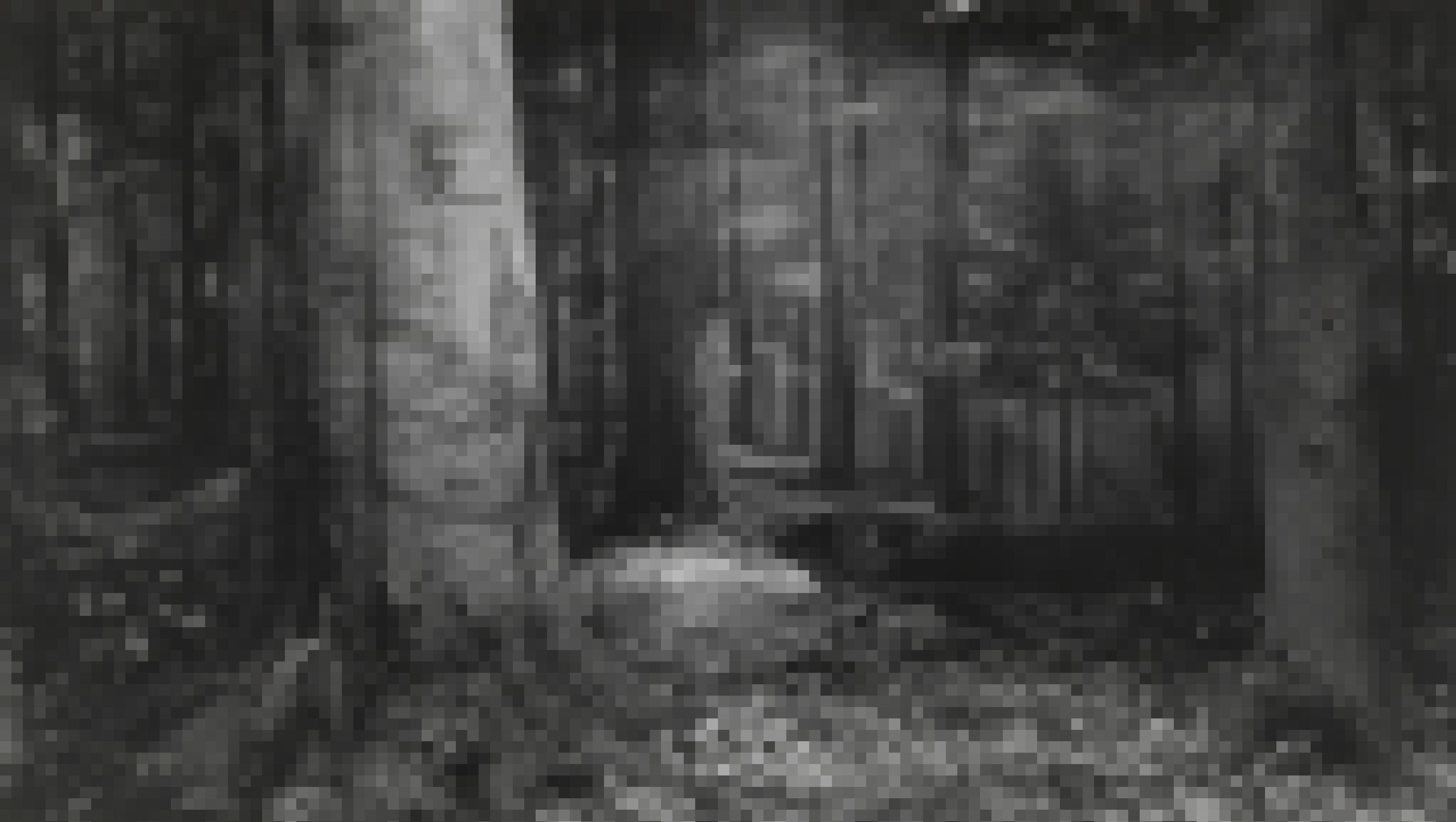 Schwarzweißfoto, das das Innere eines Laubwaldes zeigt.