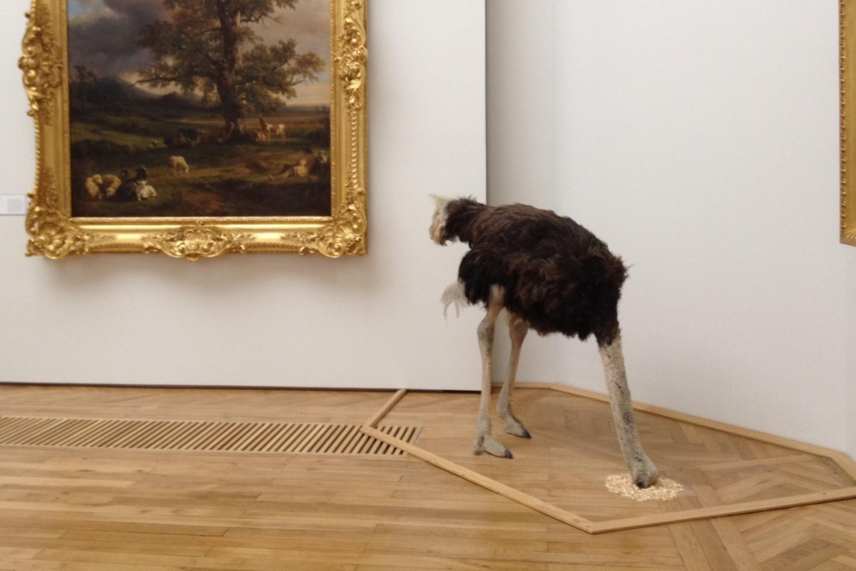 Das Foto zeigt neben einem holländischen Landschaftsgemälde aus dem 17. Jahrhundert einen ausgestopften Emu, dessen zum Boden geneigter Kopf im Parkett des Ausstellungsraums verschwindet.