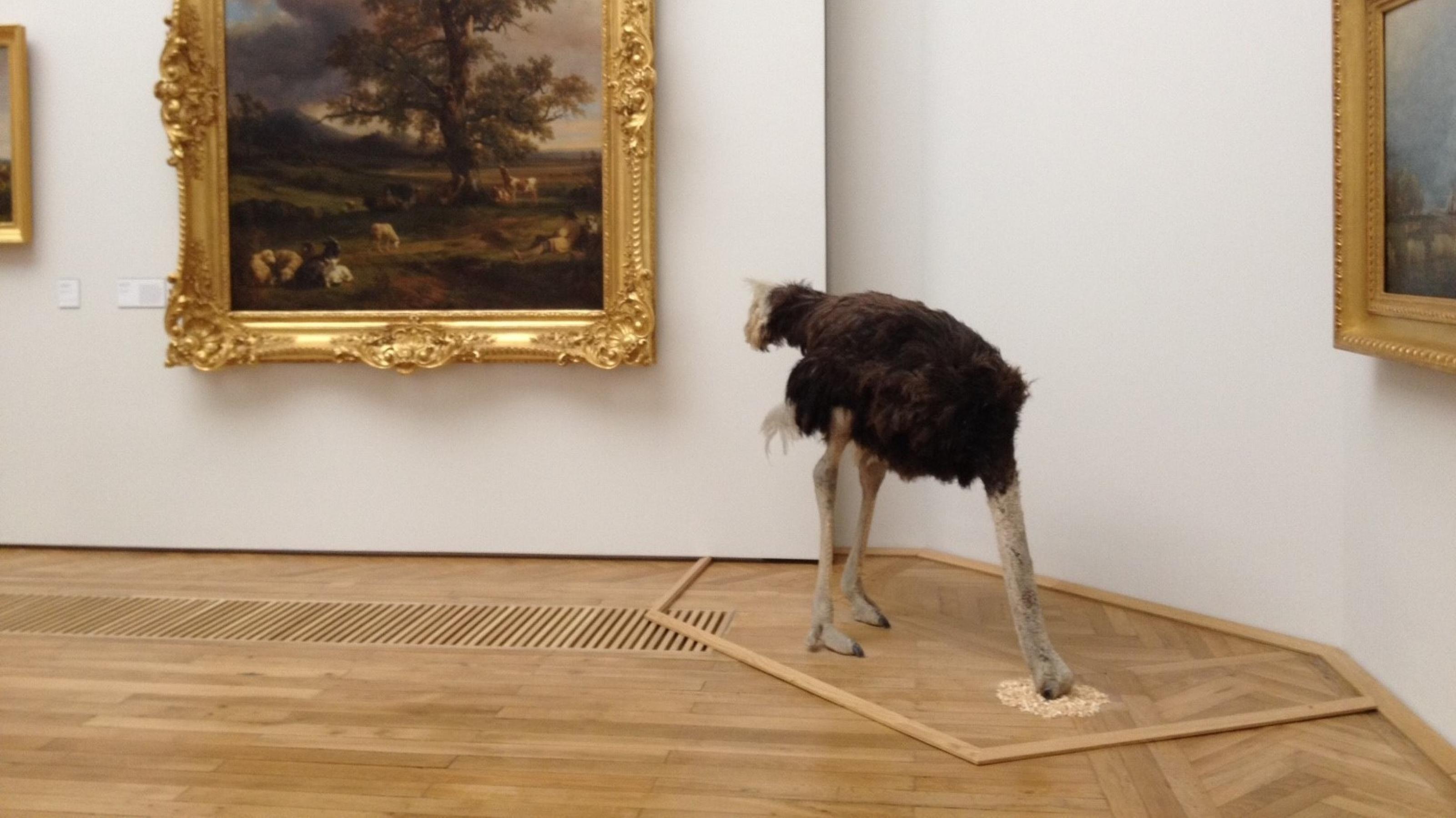 Das Foto zeigt neben einem holländischen Landschaftsgemälde aus dem 17. Jahrhundert einen ausgestopften Emu, dessen zum Boden geneigter Kopf im Parkett des Ausstellungsraums verschwindet.