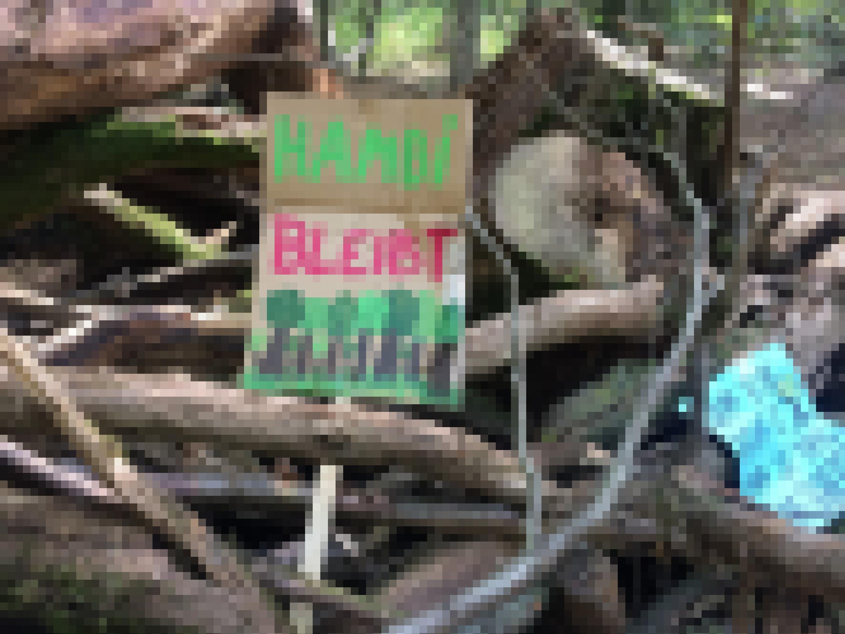 In einer Barrikade aus dicken Ästen und Baumstümpfen steckt ein Schild mit der Aufschrift „Hambi bleibt“.