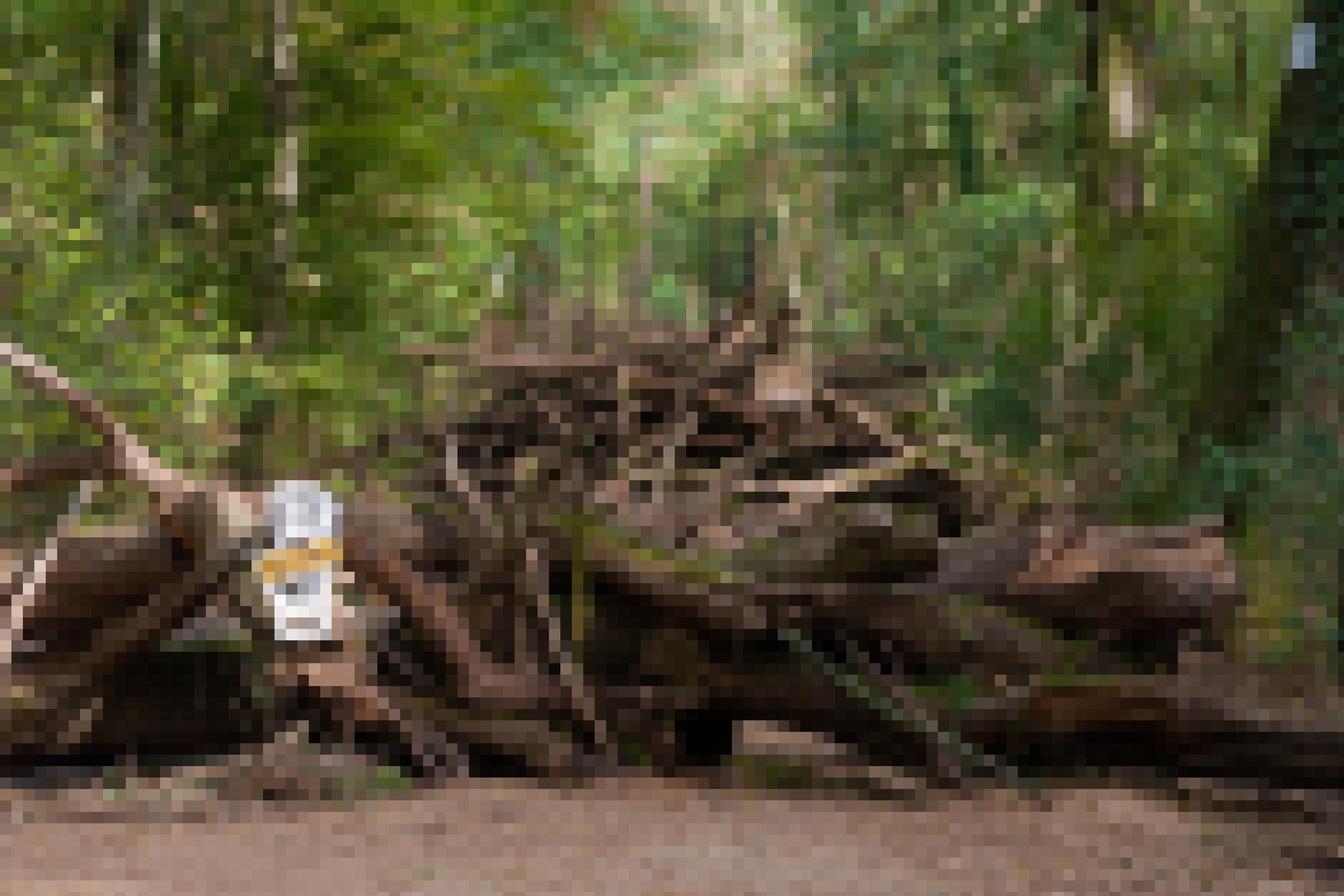 Auf einem Forstweg liegt eine Barrikade aus aus Ästen und Baumstämmen. Daran lehnt ein Plakat mit der Aufschrift „Stop Kohle“.