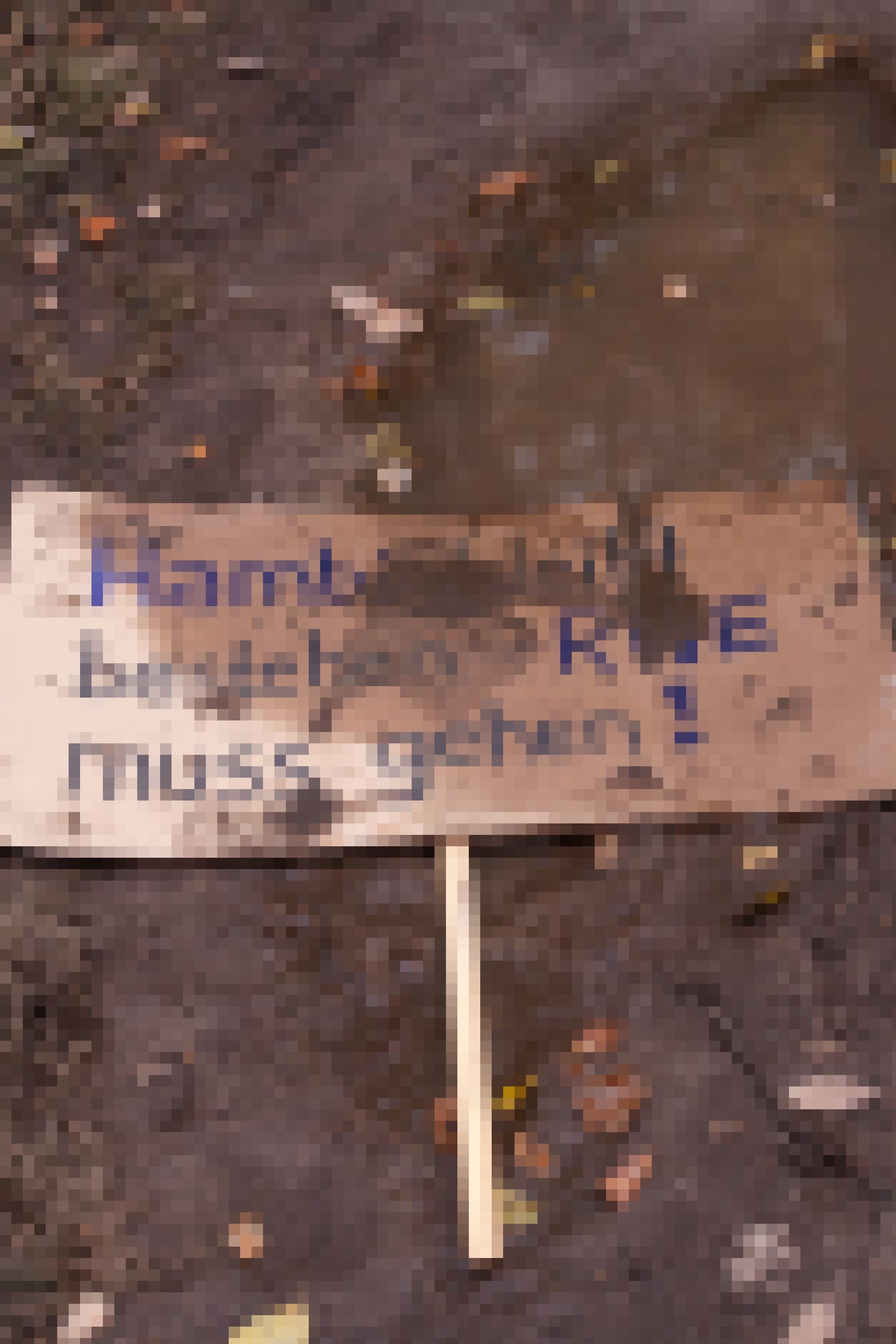 Ein Protestplakat liegt auf dem Boden. Aufschrift: „Hambi bleibt bestehen, RWE muss gehen.“