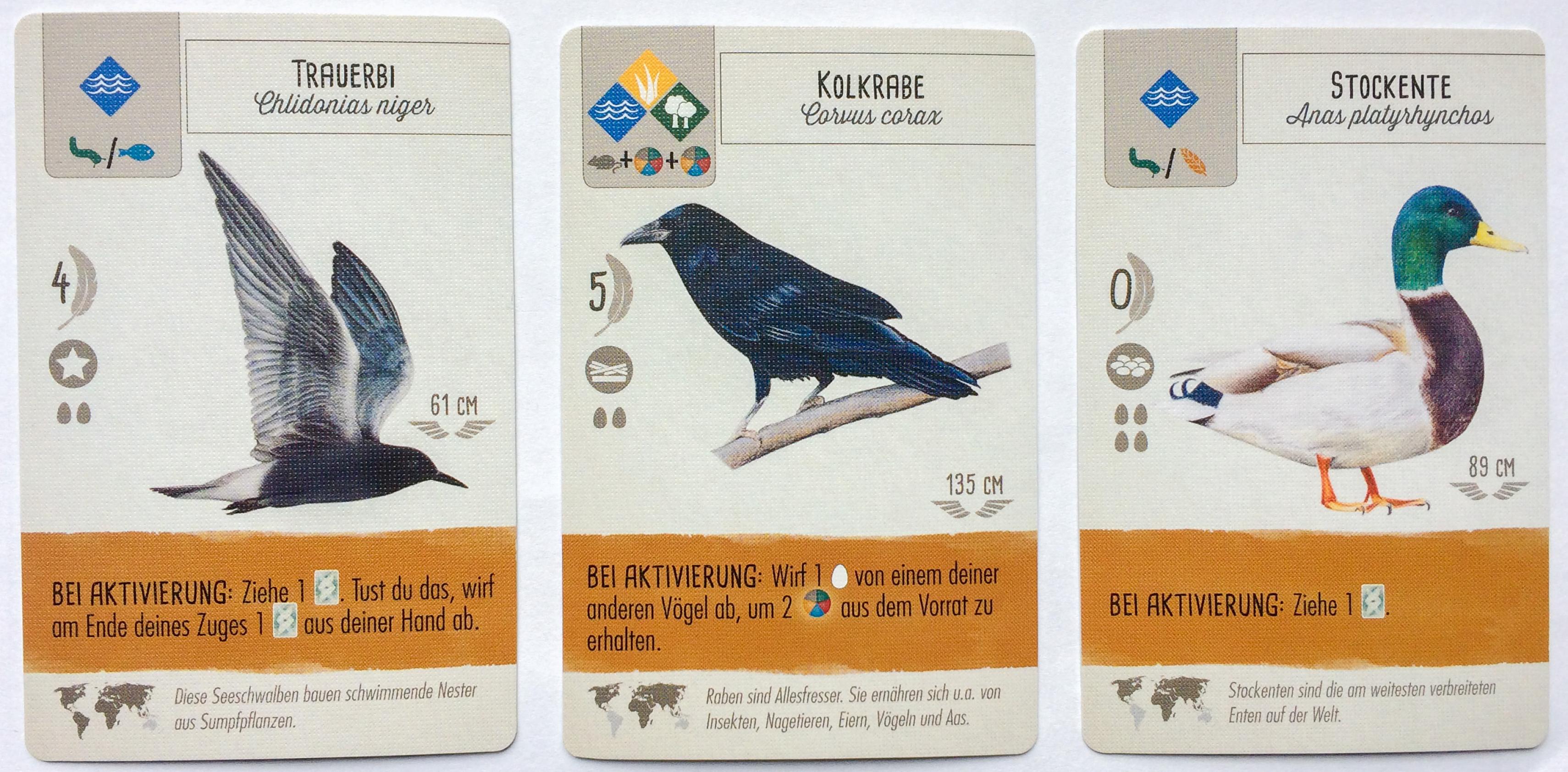 Drei Spielkarten mit Vögeln. Eine Trauerseeschwalbe unter dem Titel „Trauerbi“, ein Kolkrabe und eine Stockente.
