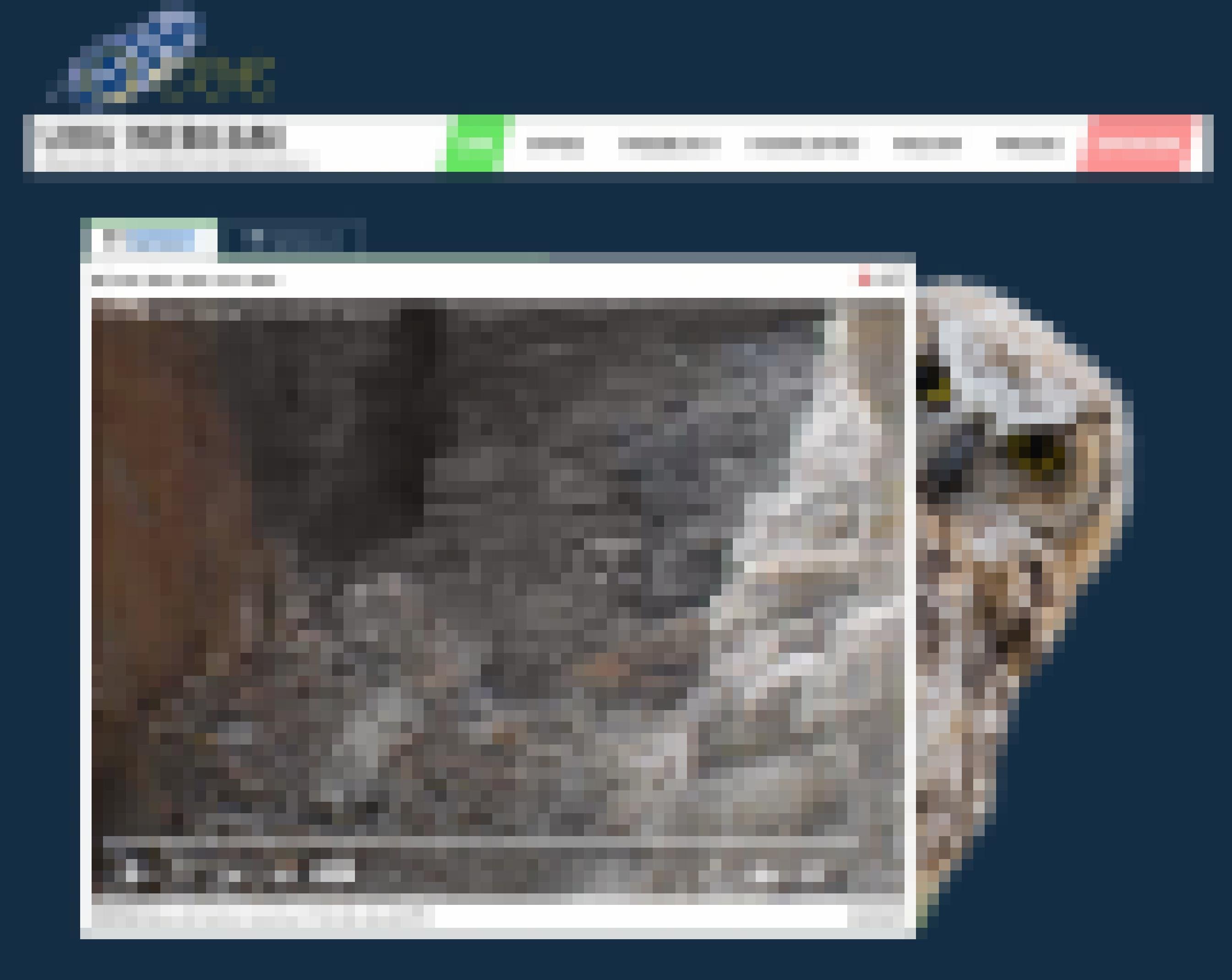 Screenshot der Website der Uhu-Cam. Zwei Junge sitzen im Nest vor einer Steilwand. Eines schaut in die Kamera.