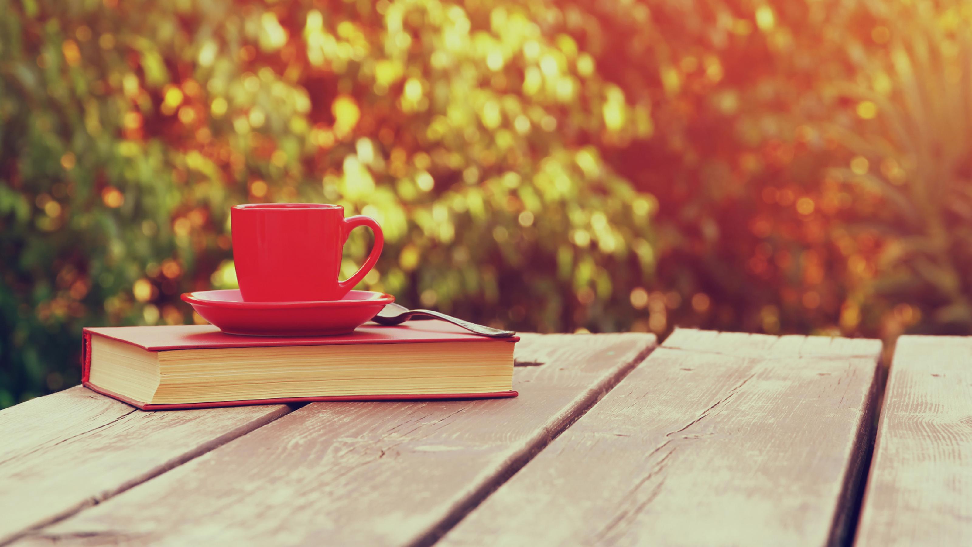 Ein Buch liegt auf einem Tisch aus groben Holzdielen. Oben drauf eine Kaffeetasse. Im Hintergrund herbstliches Laub.