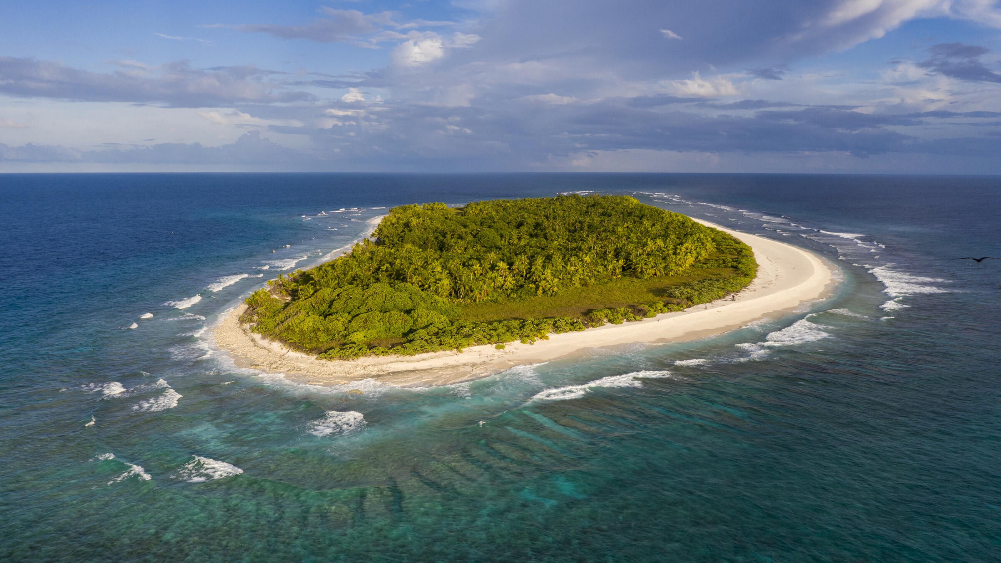 Luftbild einer Insel mit weißem Strand und Palmen im blauen Meer.