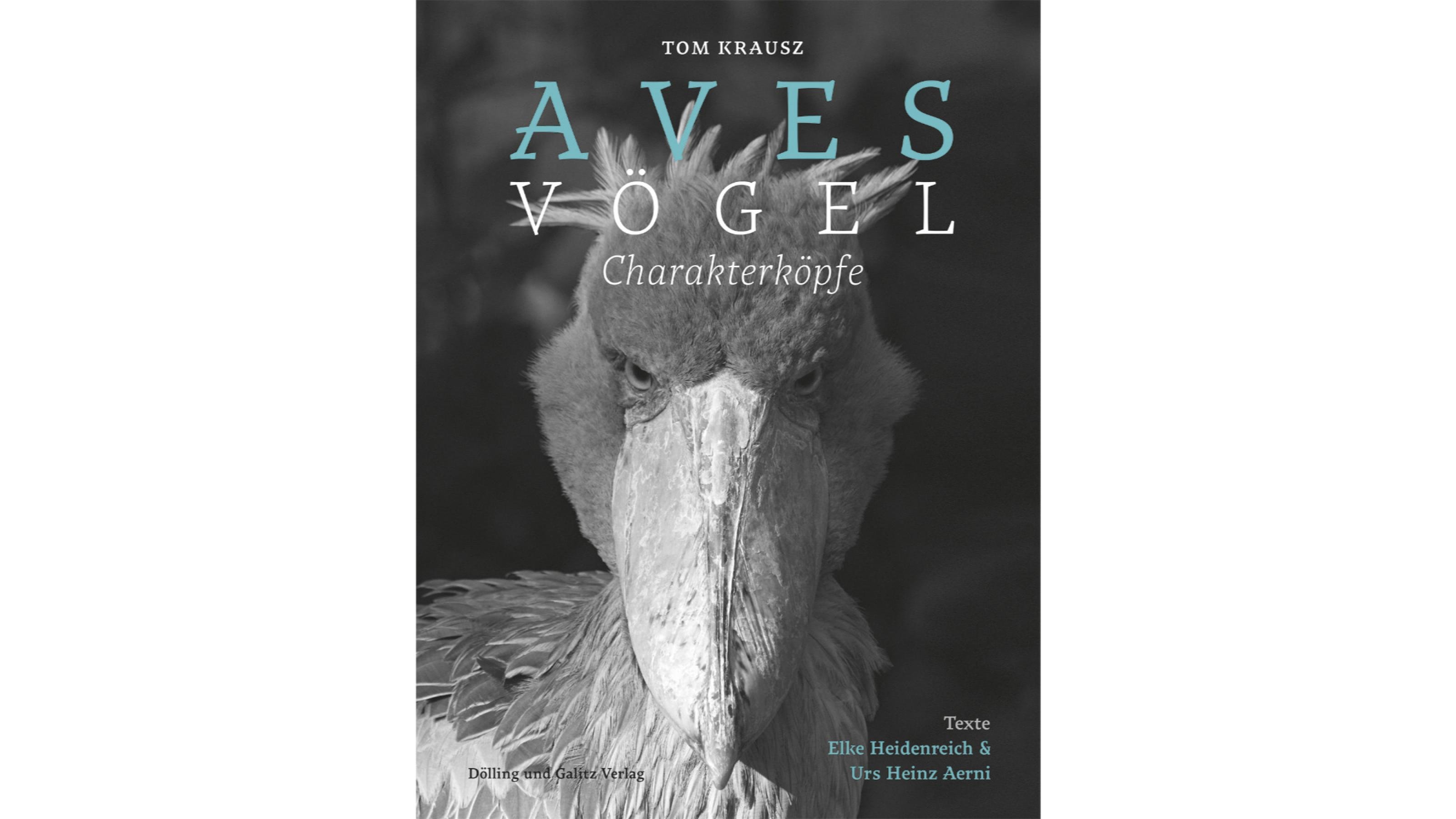 Buchcover des Bildbandes „Aves“