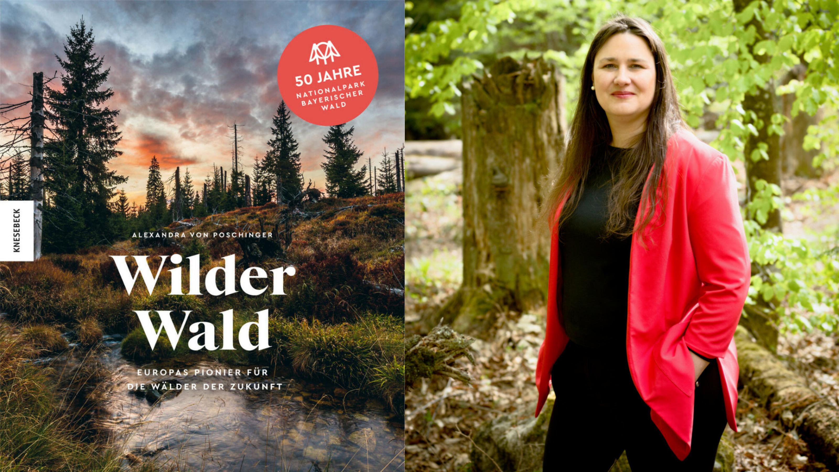 Montage: Links: Titelbild des Buchs „Wilder Wald“ aus dem Knesebeck-Verlag. Rechts: Autorin Alexandra von Ploschinger im Wald.