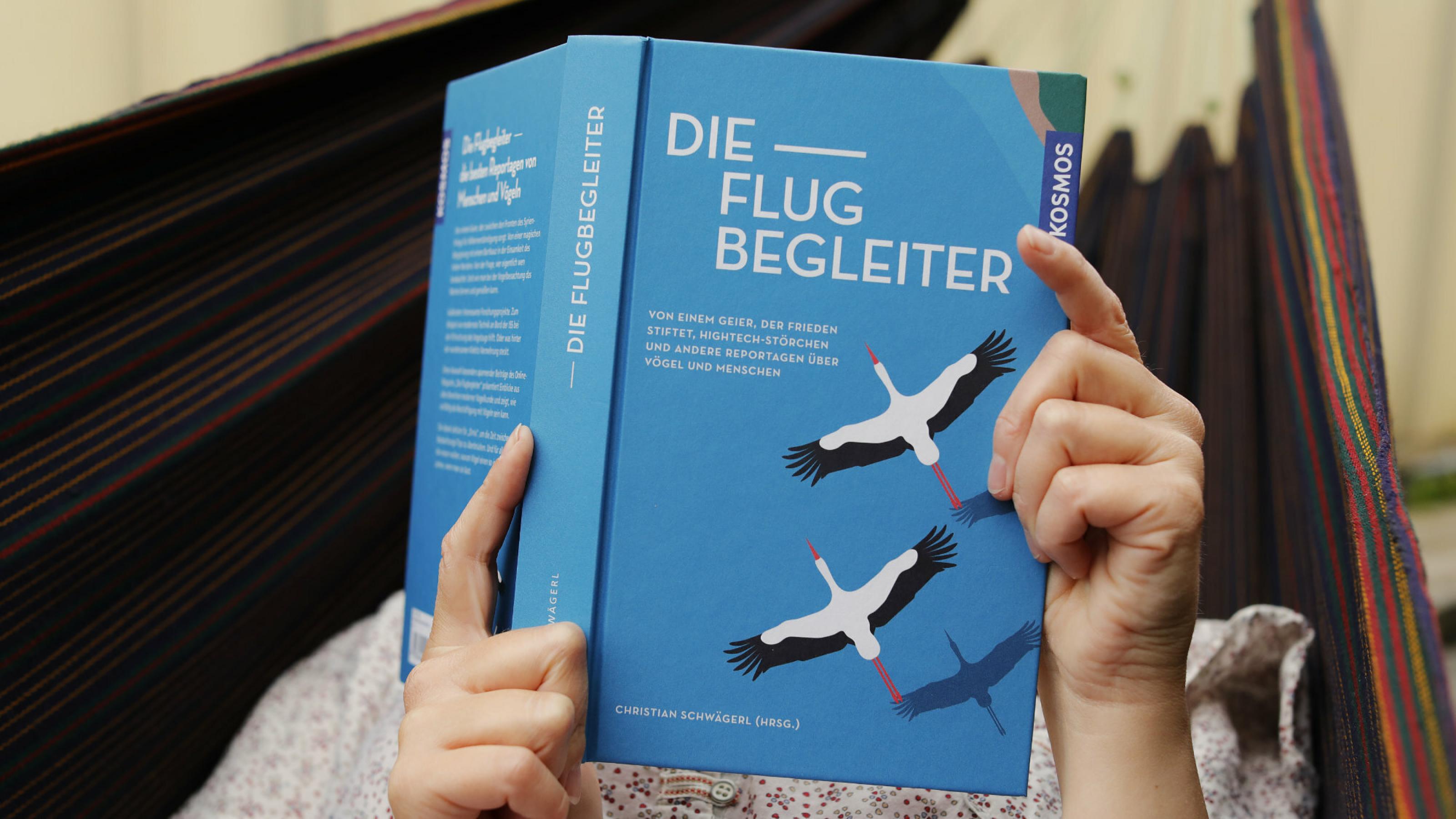 Frau in Hängematte hält das Buch „Die Flugbegleiter“ in den Händen.