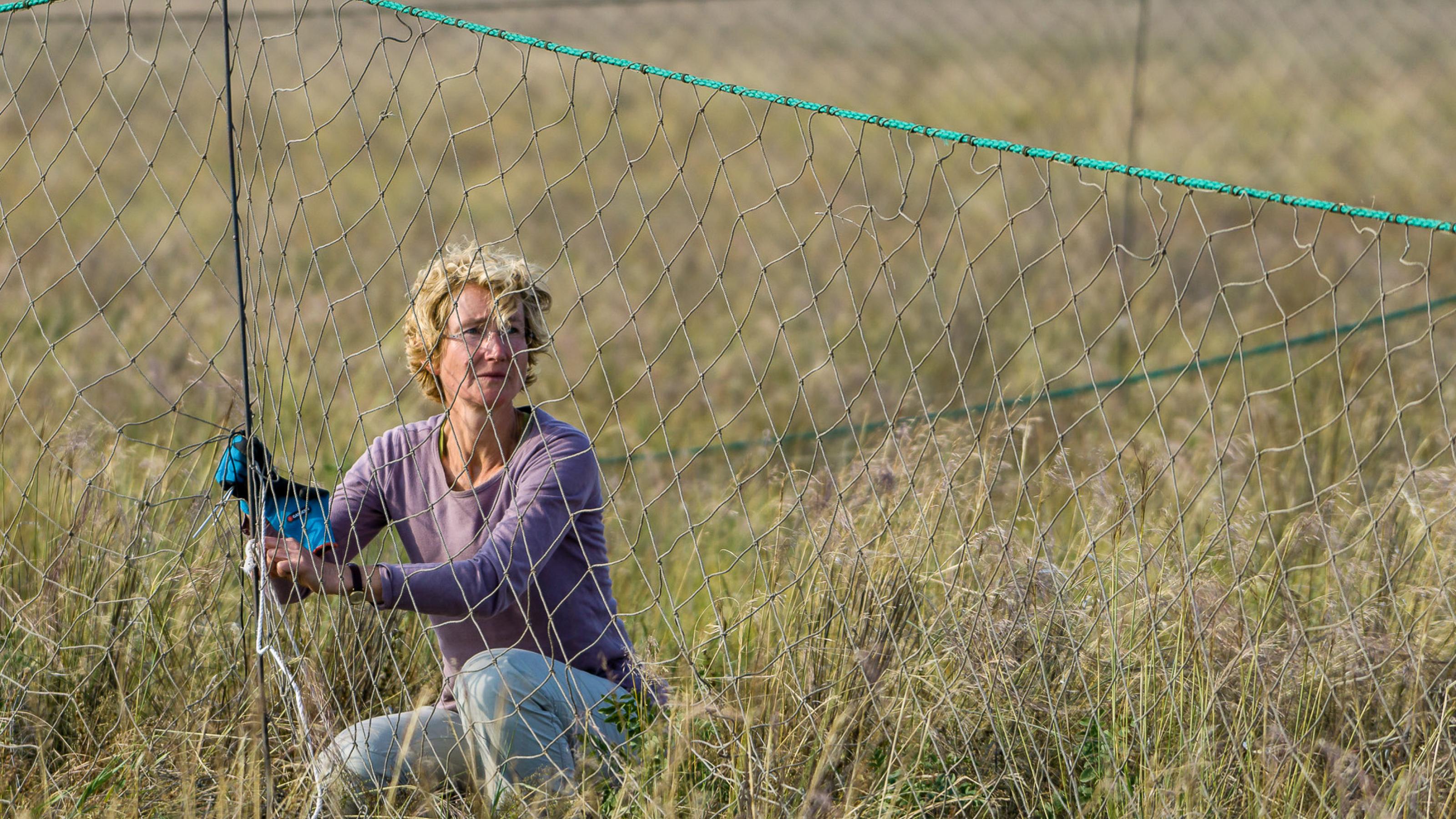 Eine Frau hockt neben einem grobmaschigen Netz im hohen Gras.