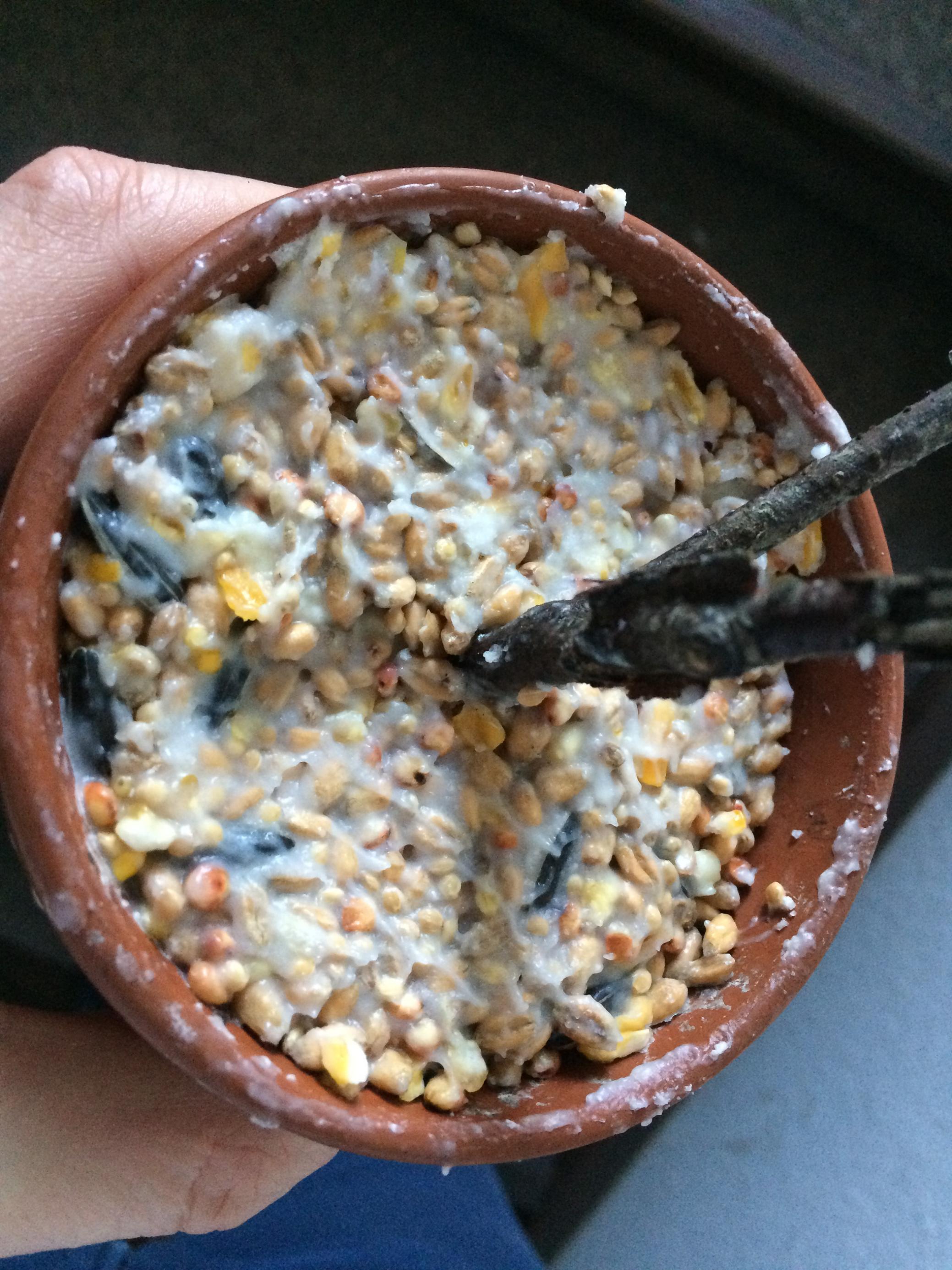 Ein Blumentopf gefüllt mit einer Mischung aus Kokosfett und Körnern.