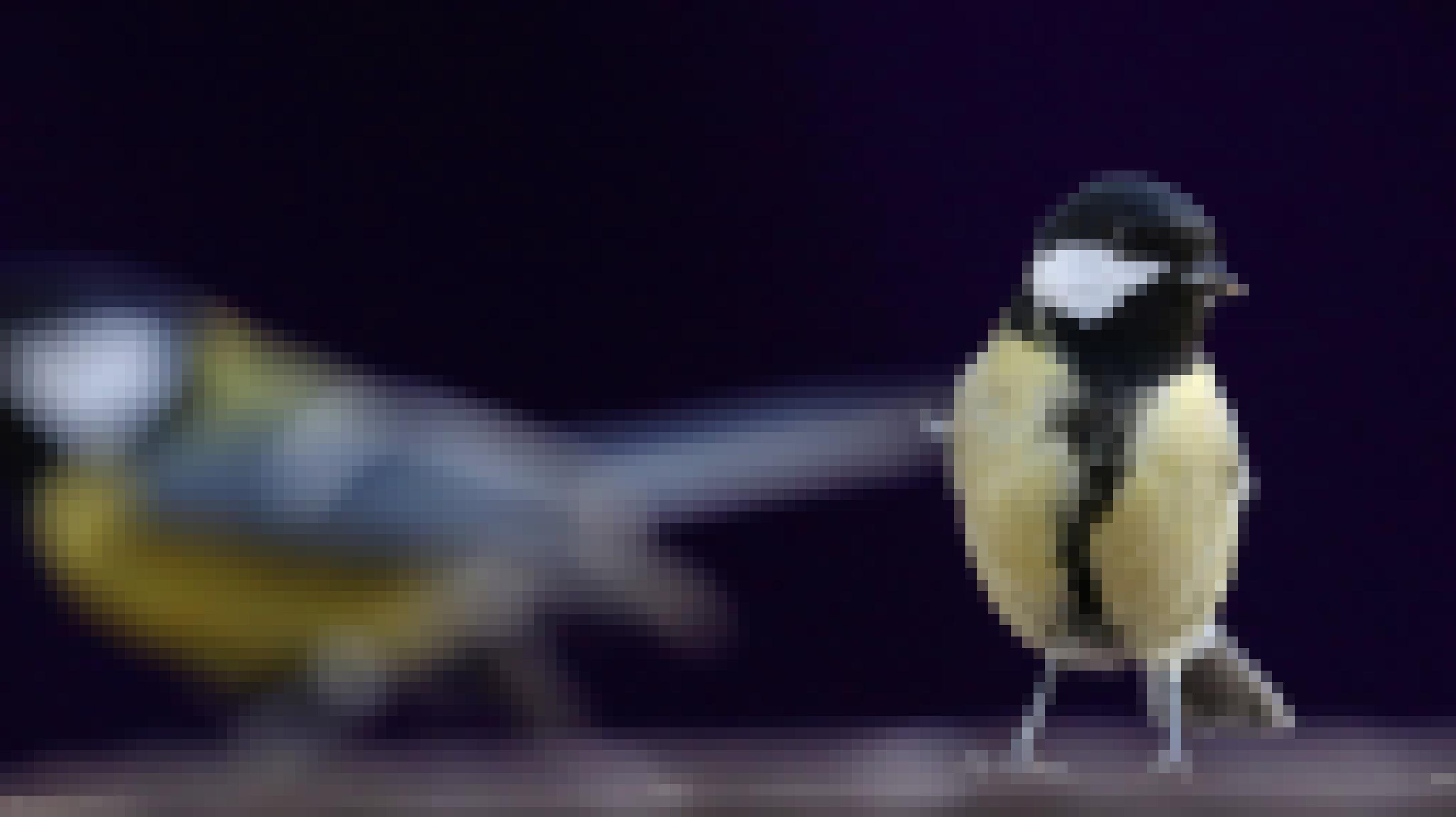 Ein kleiner Vogel mit gelber Brust, schwarzen Kopf und weißen Wangen sitzt auf einem Tisch und schaut direkt in die Kamera.