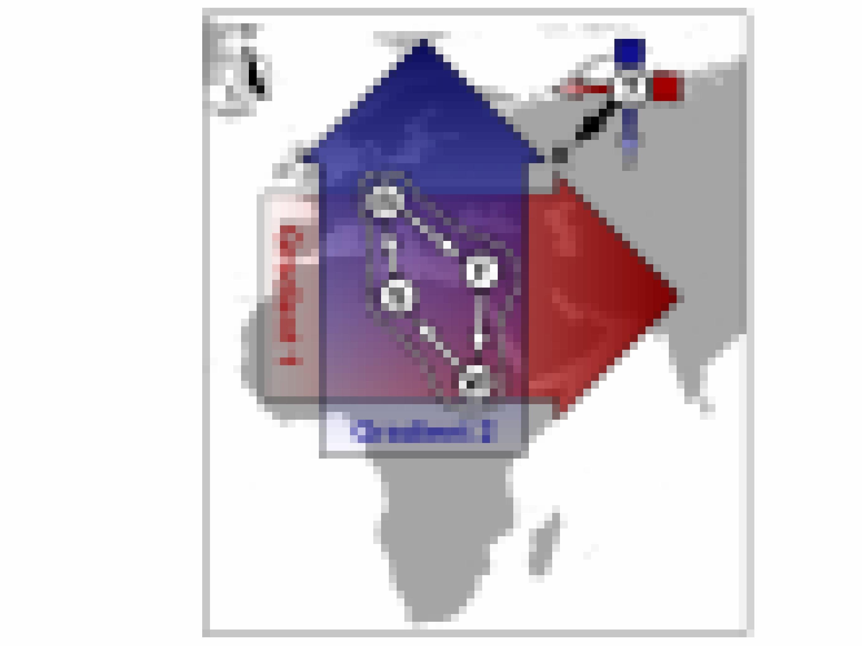 Eine Karte zeigt das Verbreitungsgebiet der Teichrohrsänger und die Zugwege von Mitteleuropa nach Afrika. Rote und blaue Pfeile markieren die Magnetfeldinformationen.