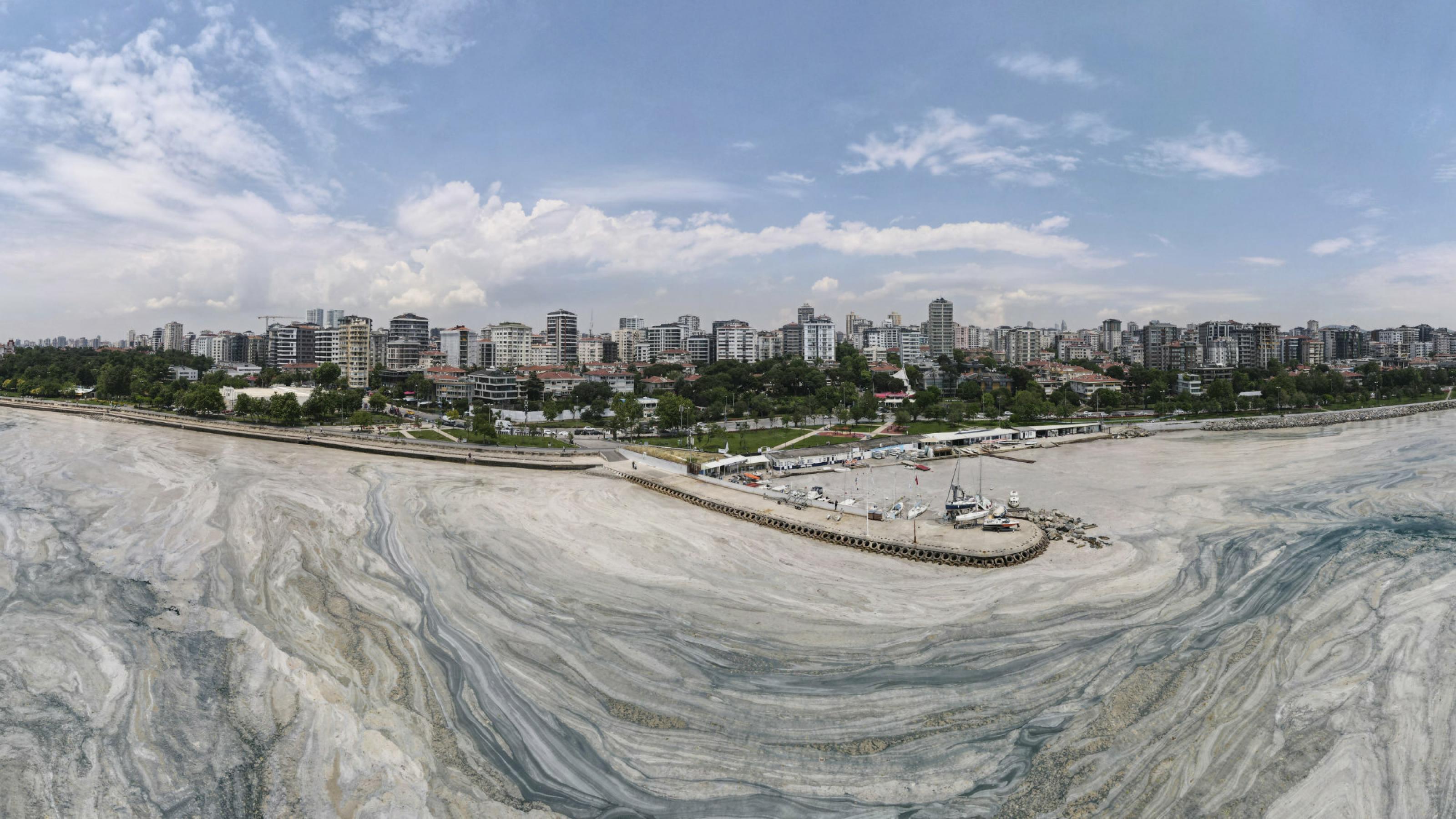 Luftbild der Küste vor dem Istanbuler Stadtteil Caddebostan, aufgenommen am 7. Juni 2021. Das Wasser ist weitflächig bedeckt mit hellen Schlieren aus Schleim.