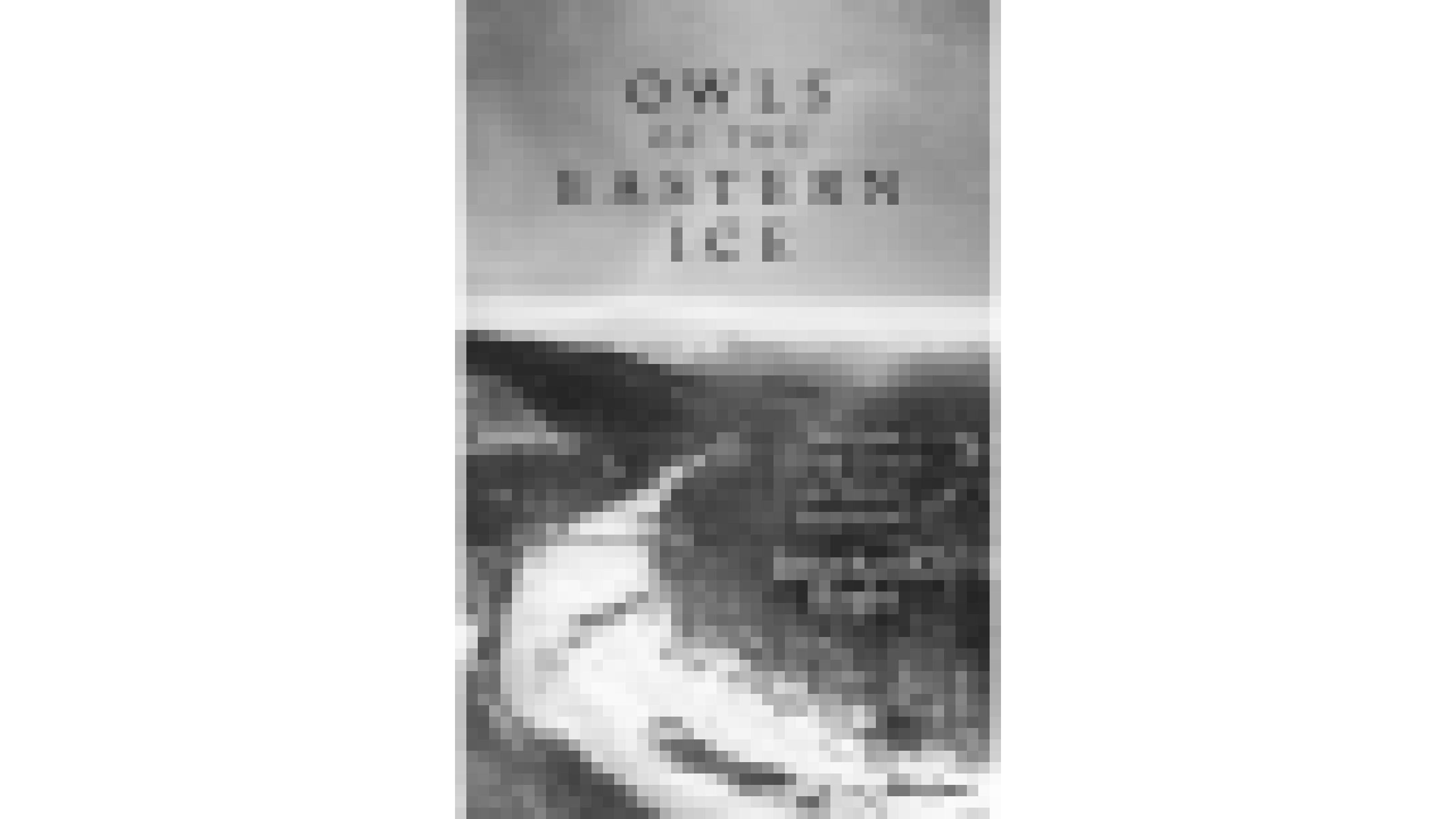 Schwarz-weiß-Cover der britischen Fassung von Jonathan Slaght’s Buch „Owls of the Eastern Ice“. Zu sehen ist ein vereister Fluss in einem bewaldeten Tal. Mit freundlicher Genehmigung des Verlags