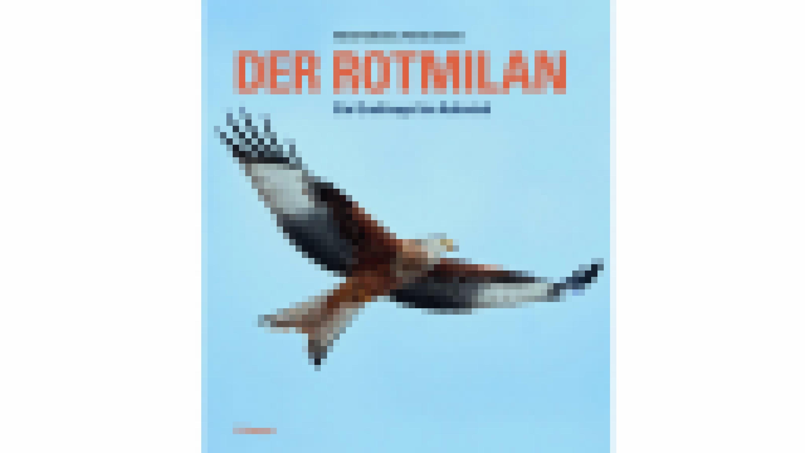Auf dem Cover des Buchs ist ein Greifvogel mit grau-schwarz-braunem Gefieder in der Luft zu sehen.
