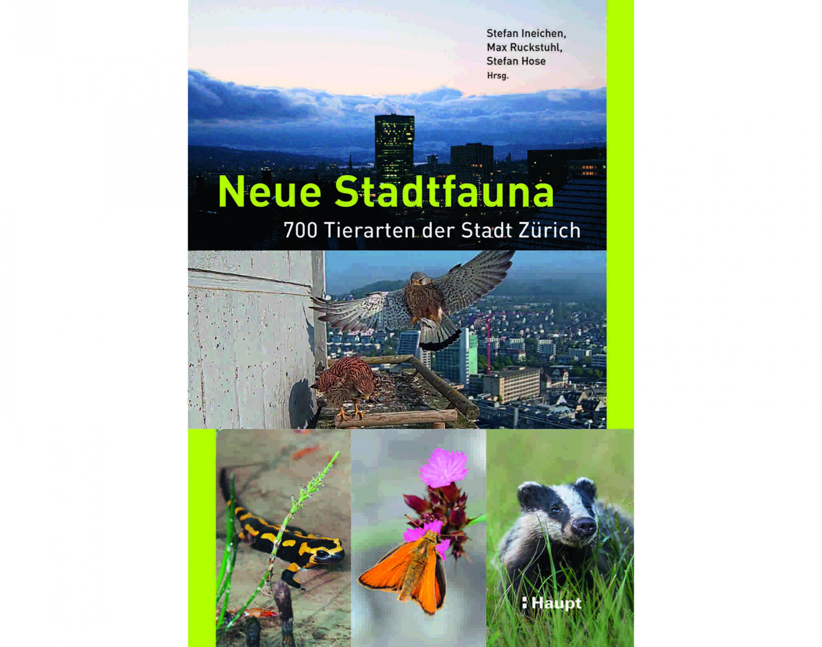 Das Titelbild des Naturführers „Neue Stadtfauna. 700 Tierarten der Stadt Zürich“ zeigt unter anderem einen Feuersalamander, einen Dachs und die Skyline der Stadt.