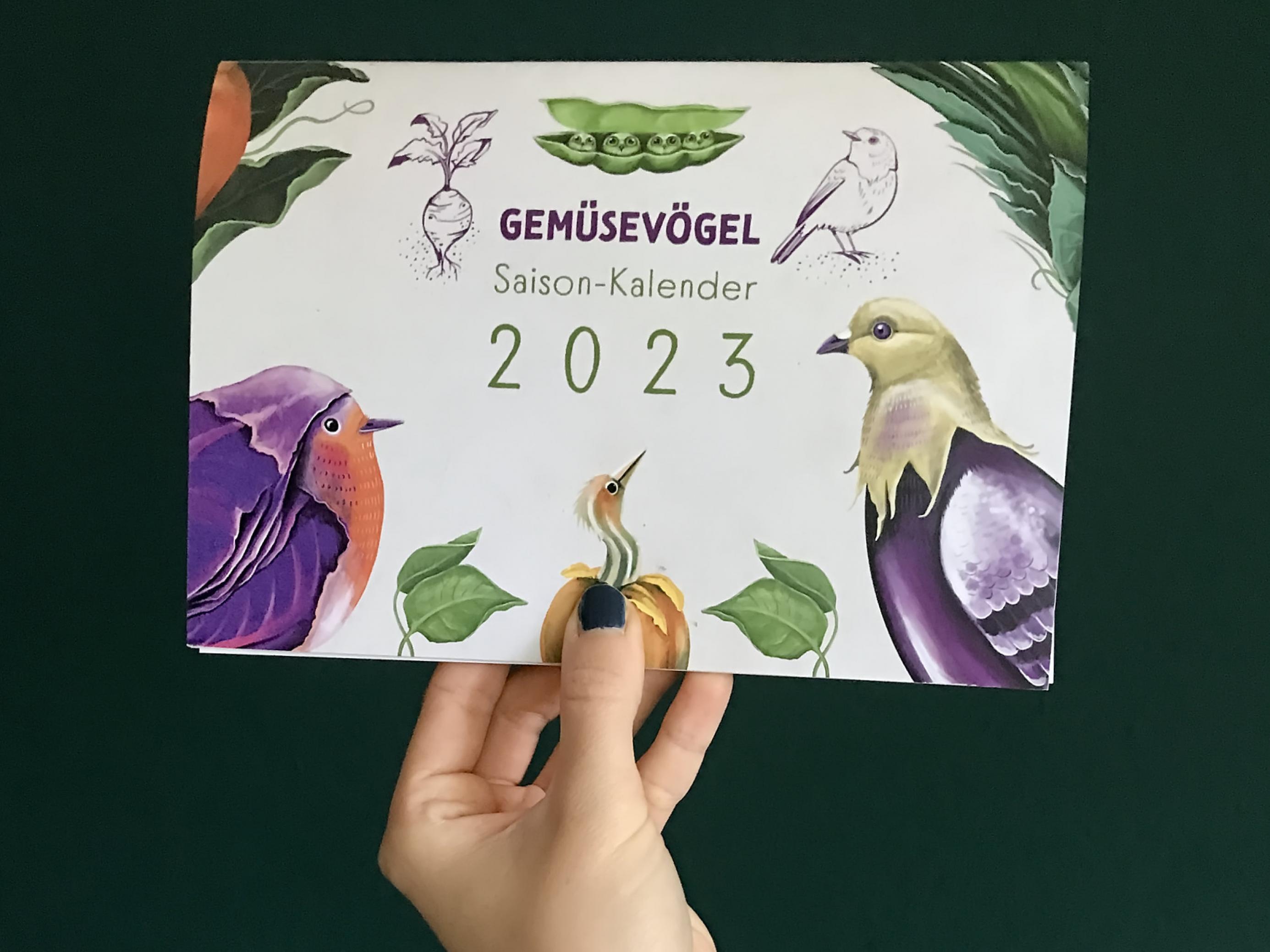 Eine Hand hält einen Kalender im Din A5-Format, auf dem Cover ist unter anderem eine Taube mit grünem Kopf und einem violett-gefärbten Körper zu sehen, eine Taubergine.