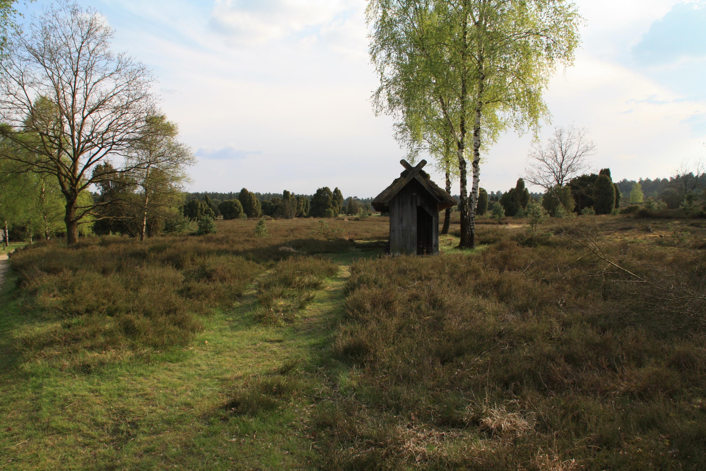 Eine Heidefläche im Naturschutzgebiet Nordheide. Zwischen den Heidekrautpolstern sprießen Wacholder und Birken, in der Mitte steht ein überdachter Bienenstock