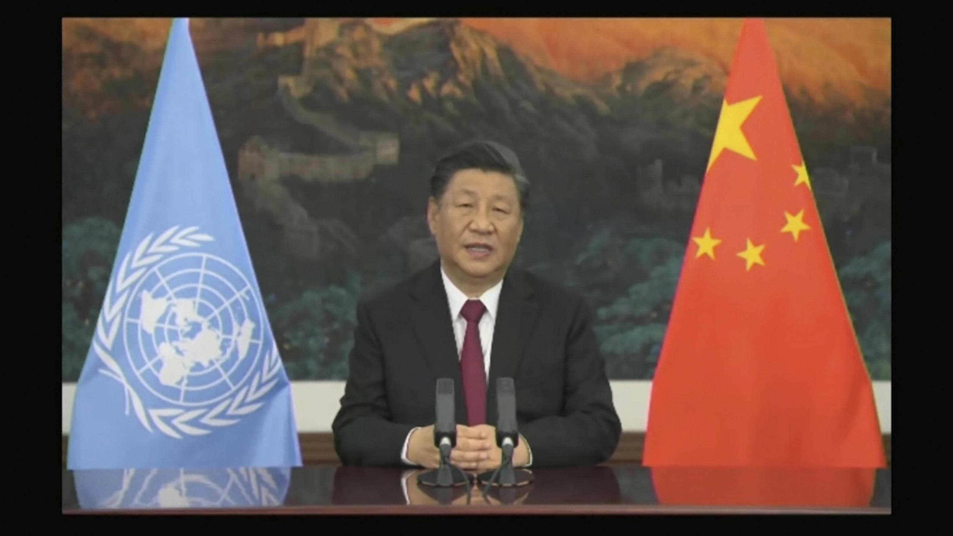 Xi Jinping an seinem Schreibtisch umrahmt von zwei Flaggen.