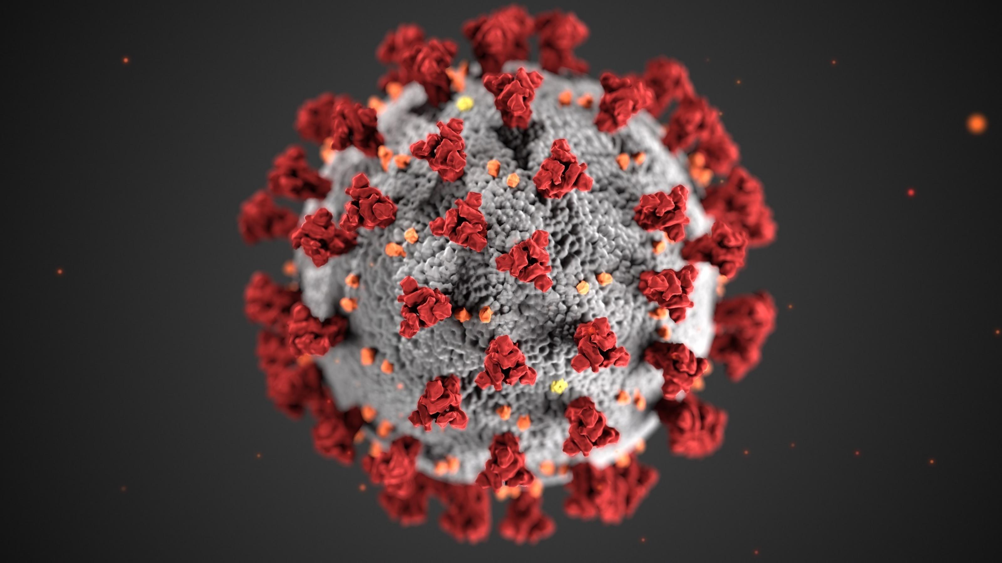 Dieses Bild zeigt eine Mikroskopaufnahme des Virus