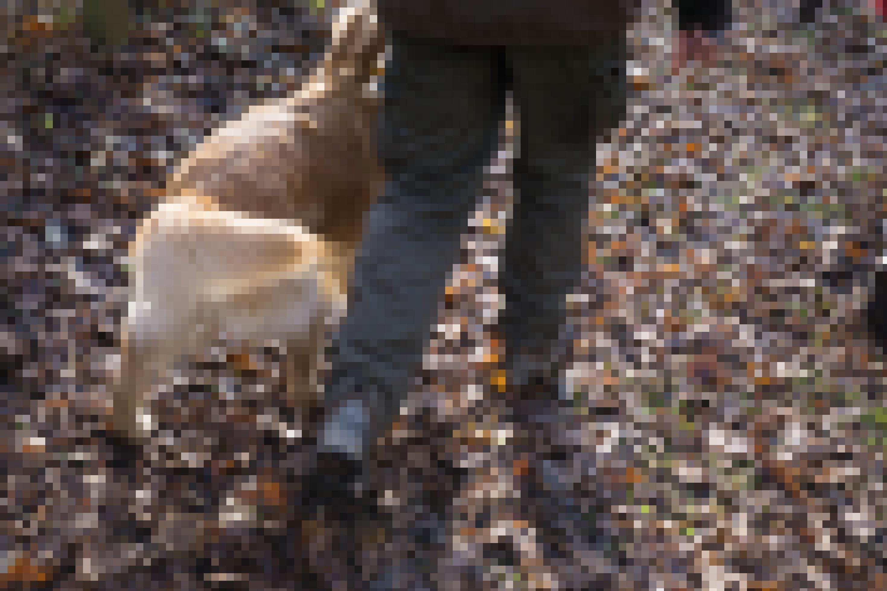 Beine eines Mannes gehen über Herbstlaub, daneben läuft ein Hund.