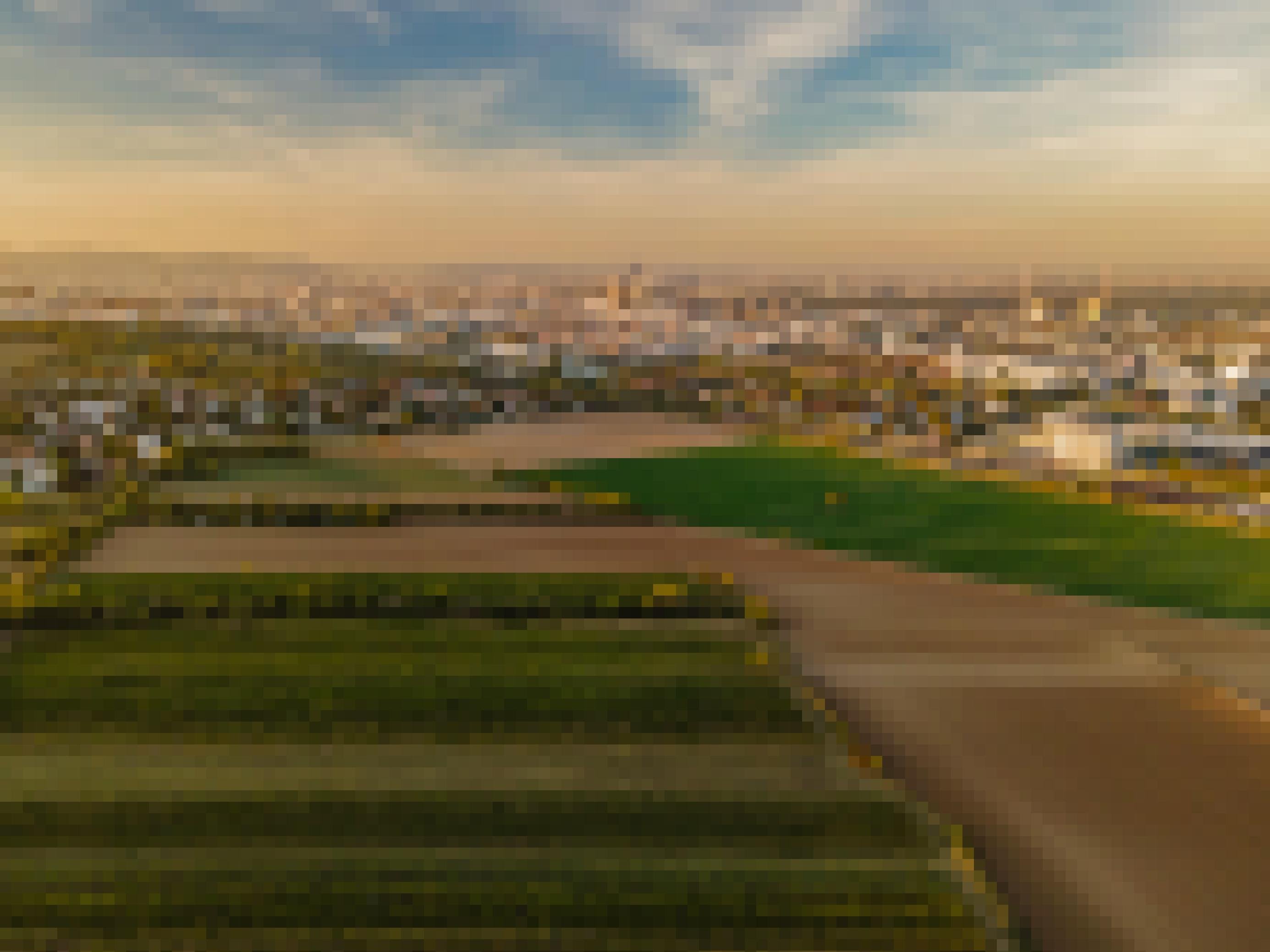 Drone aerial shot of Agriculture fields in southern Vienna Austria wheat and Vineyard fields