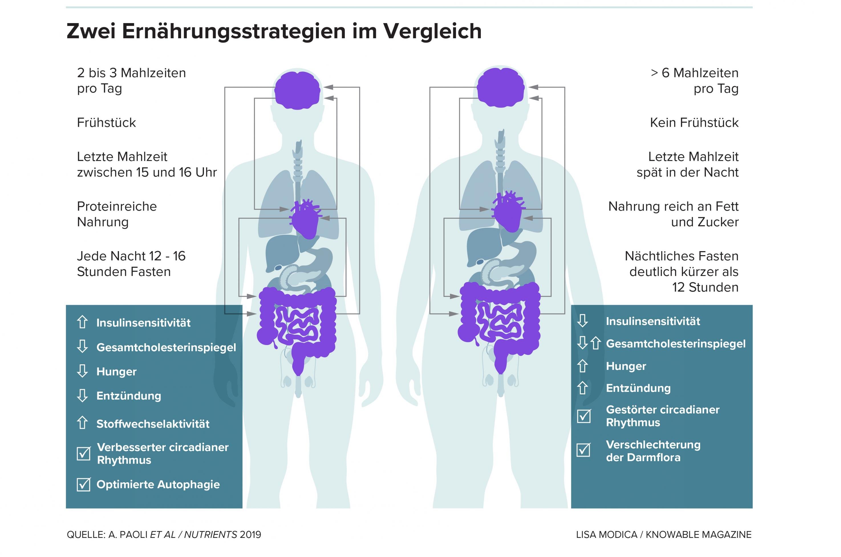 Zwei Ernährungsstrategien im Vergleich