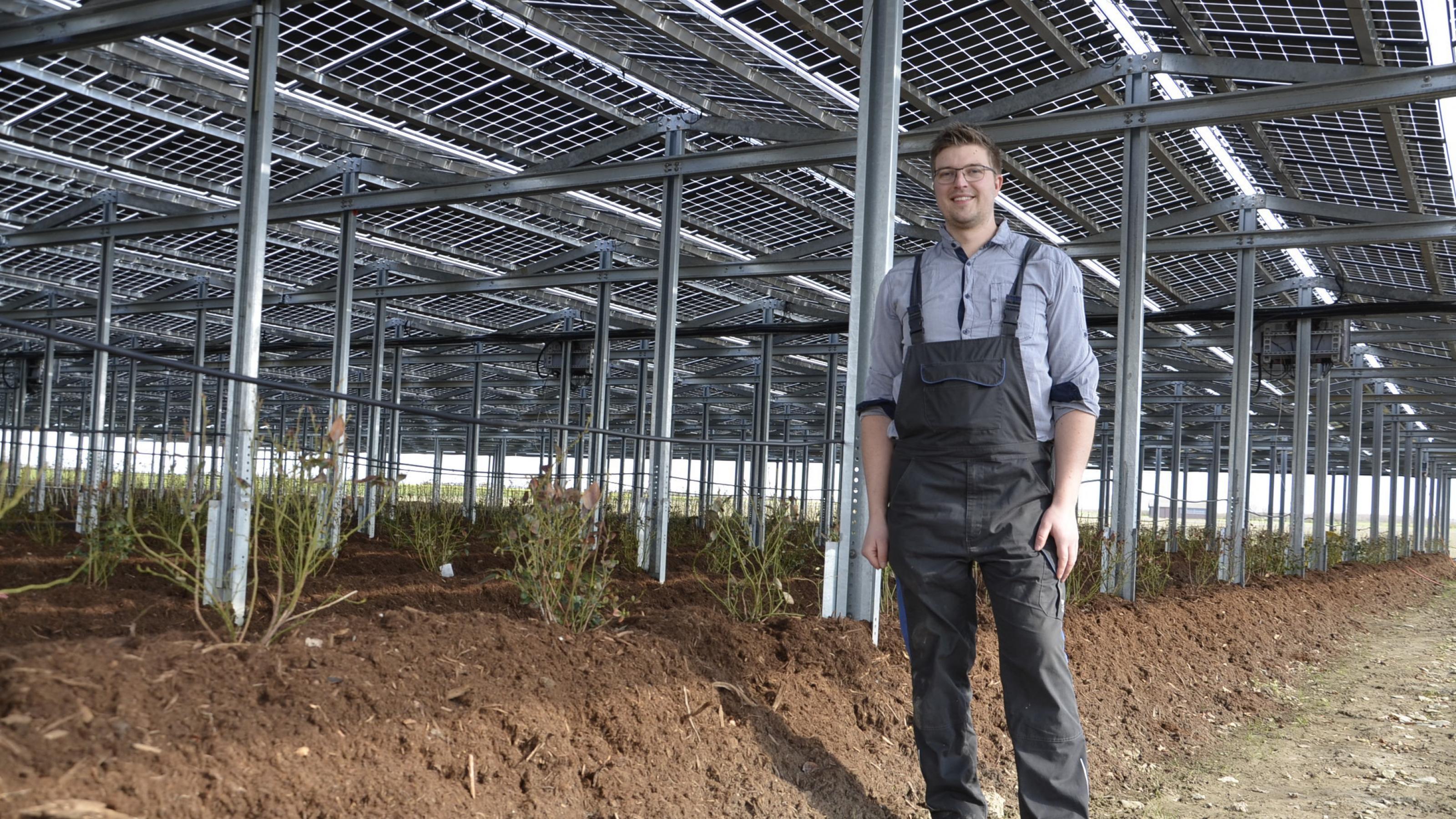 Landwirt Fabian Karthaus inmitten seiner Beerenplantage, die mit Photovoltaik-Modulen überdacht ist.