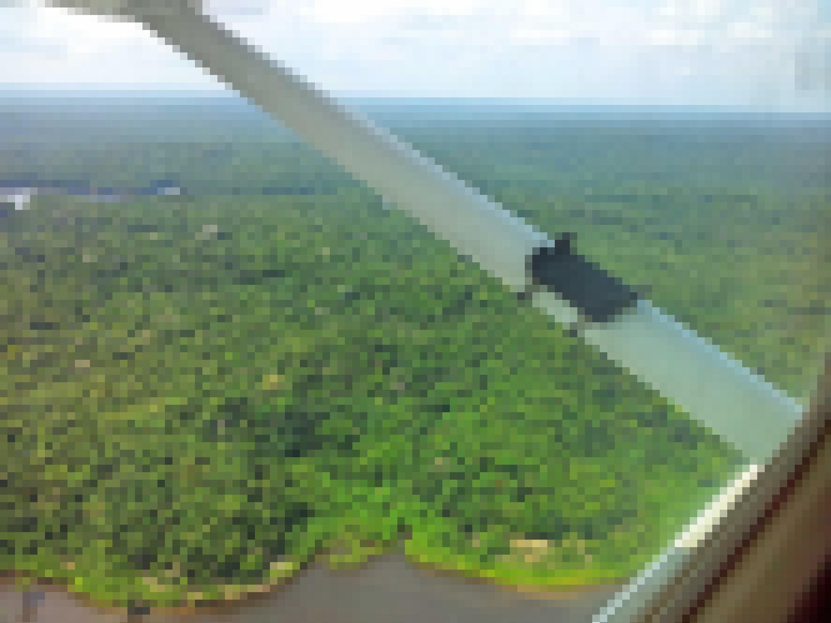 Blick aus dem Flugzeug auf das Ufer des Amazonas kurz hinter Manaus