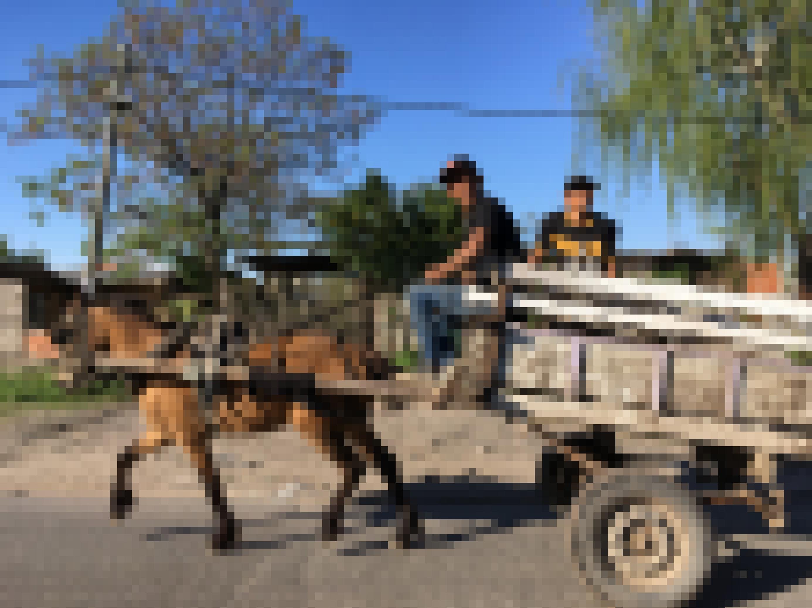 Eine Pferdekutsche transportiert Waren, Müll und Fahrgäste in einem Armenviertel von Buenos Aires.