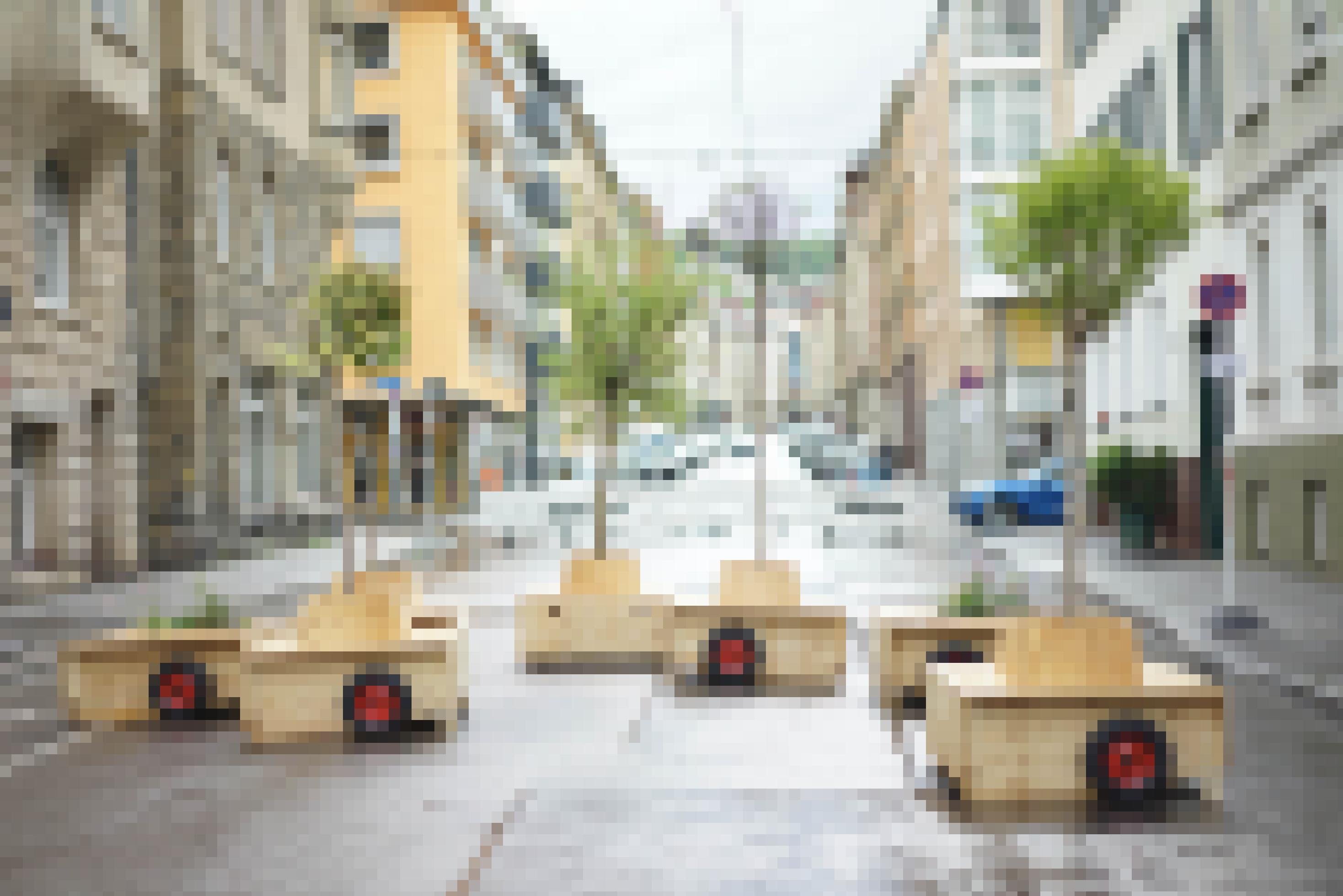 Vier Bäume und zwei weitere Pflanzen in Holzkisten stehen von links bis rechts angeordnet auf einer Straße.