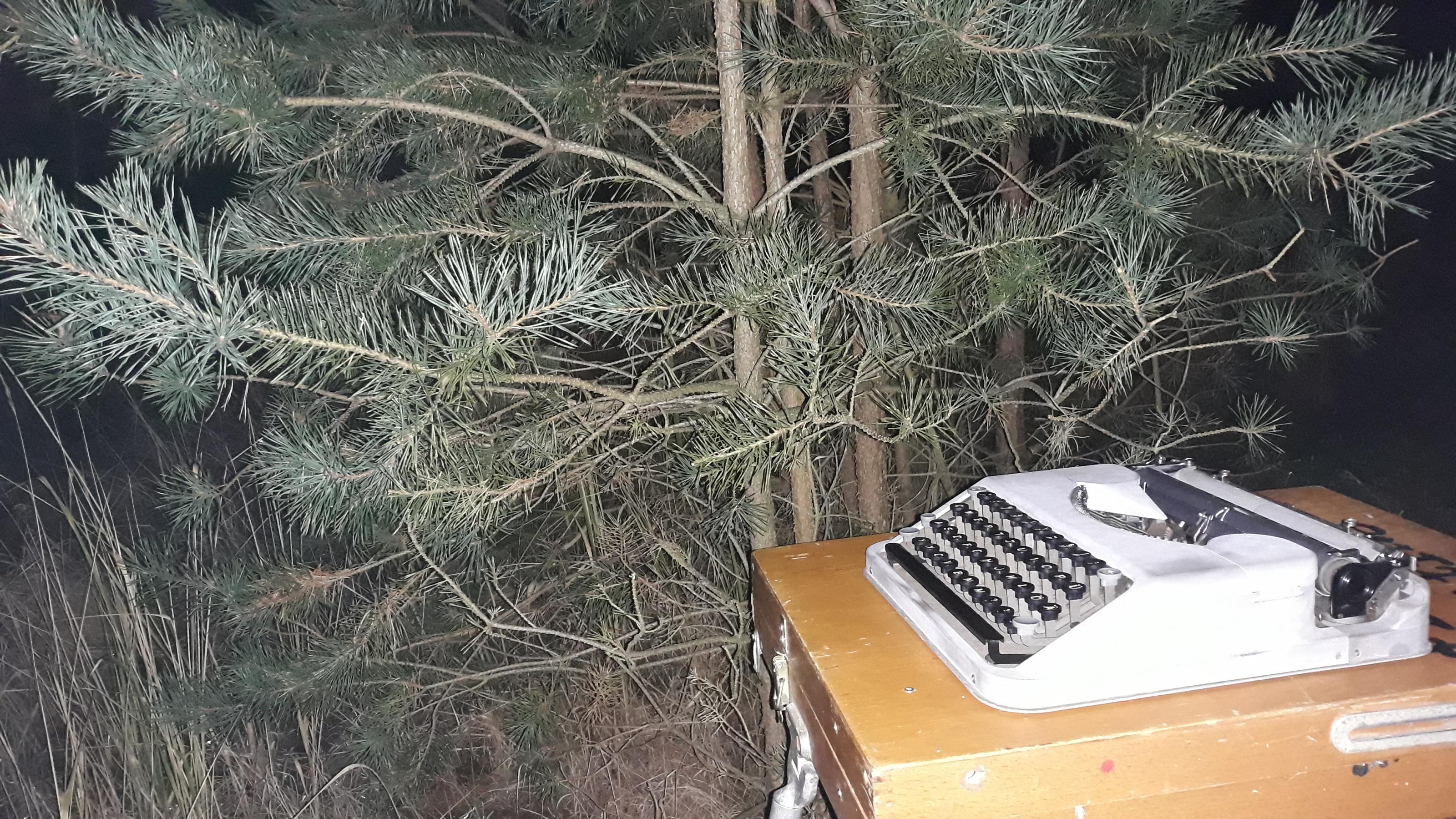 Der Klappschreibtisch mit der Hermes-Baby-Reiseschreibmaschine steht vor einer Kiefer im Wald. Es ist Nacht.