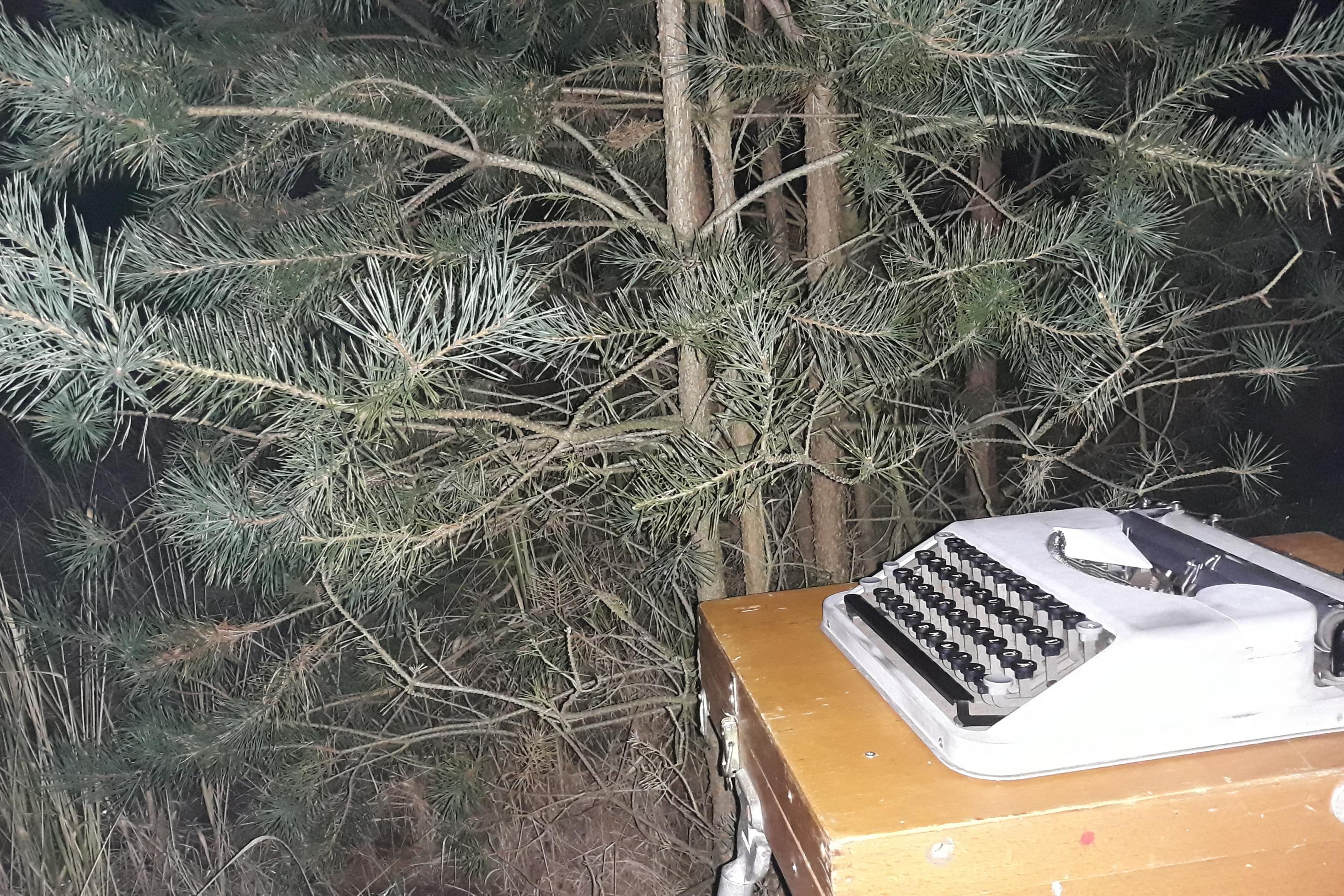 Der Klappschreibtisch mit der Hermes-Baby-Reiseschreibmaschine steht vor einer Kiefer im Wald. Es ist Nacht.