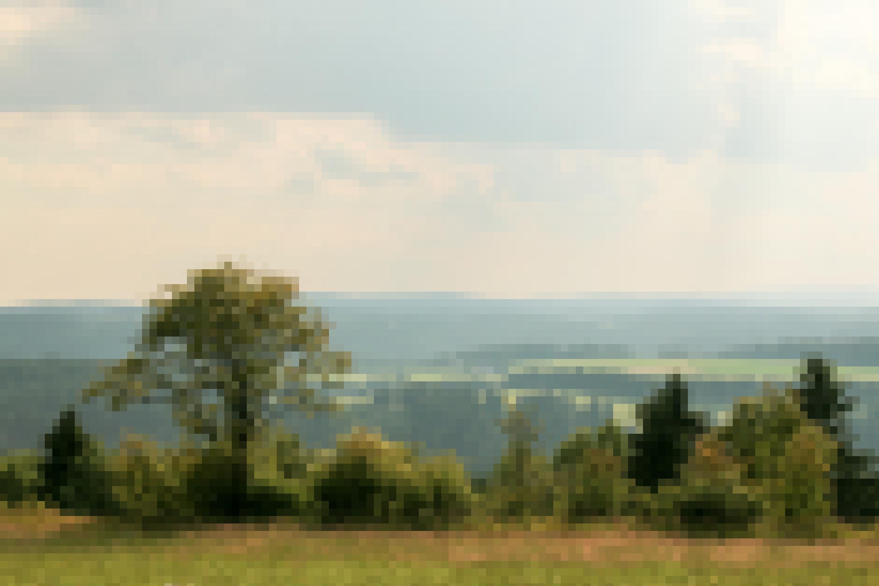 Blick von einem Aussichtspunkt über Felder und Waldstücke.