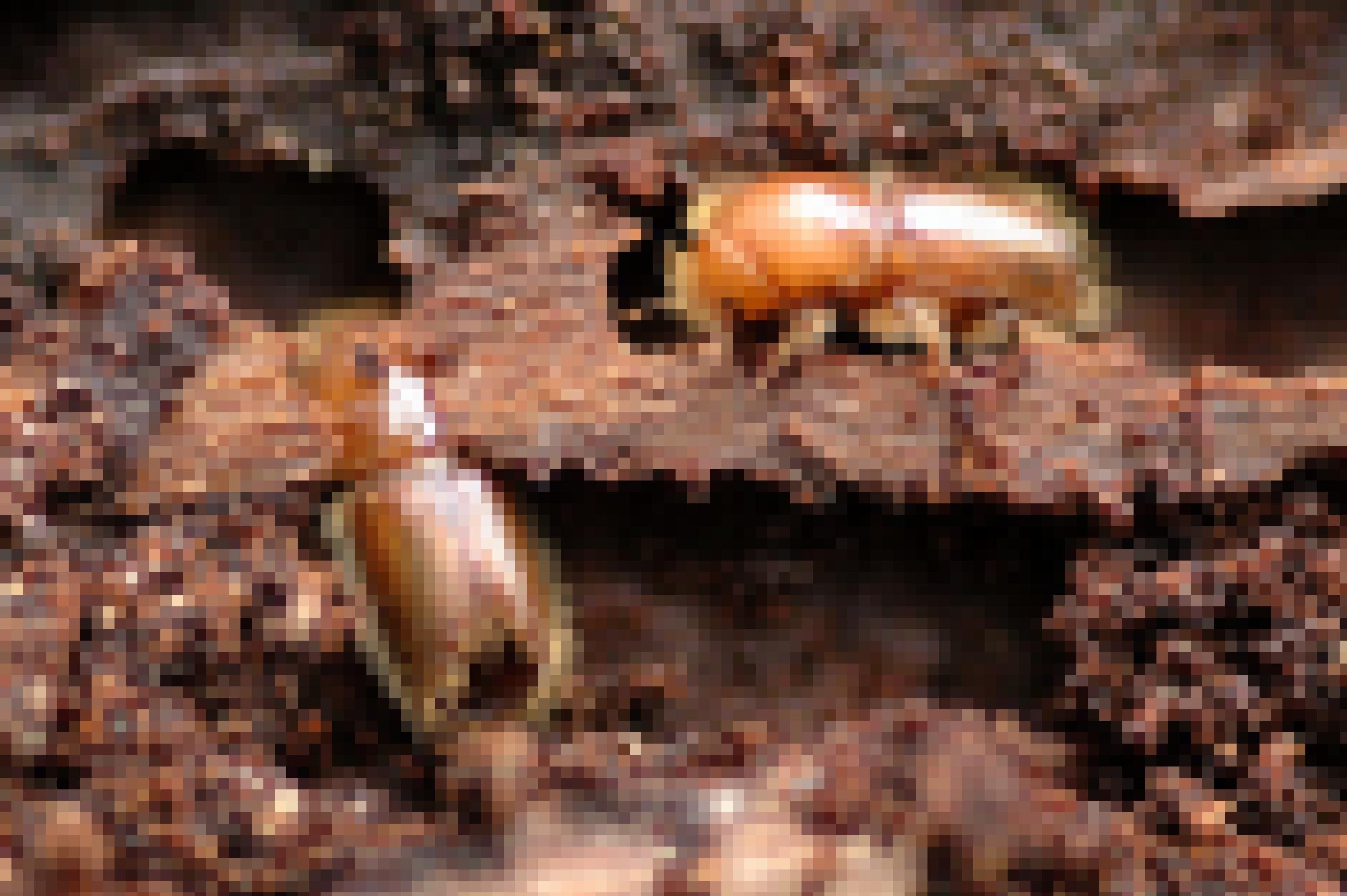 zwei braune Käfer auf einem Stück Holz [AI]