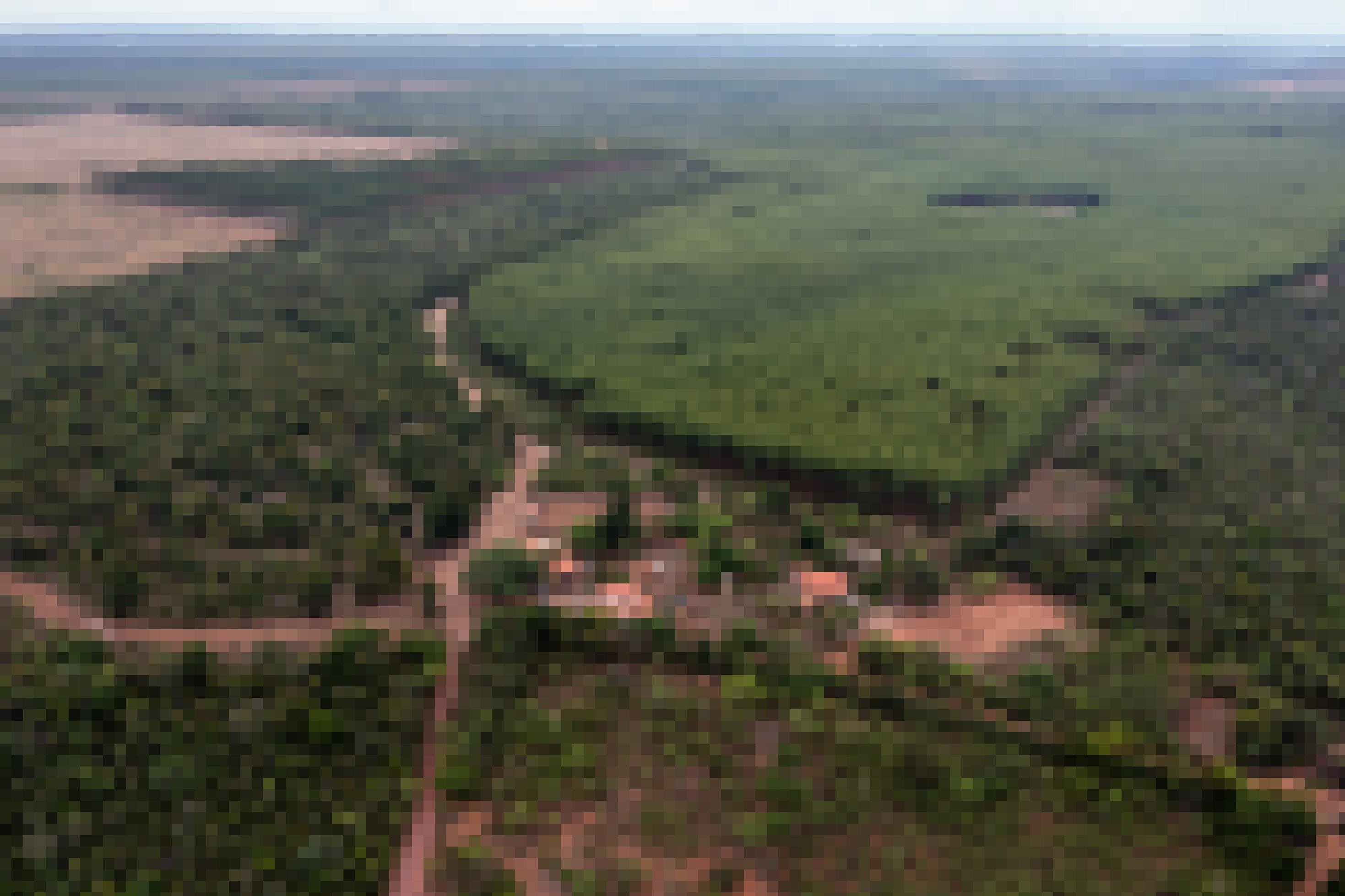 Eukalyptus-Monokultur trifft auf die ursprüngliche Cerrado-Vegetation. Direkt neben der Plantage ein Dorf, das unter den versprühte Pestiziden leidet, Turmalina, Minas Gerais, Brasilien