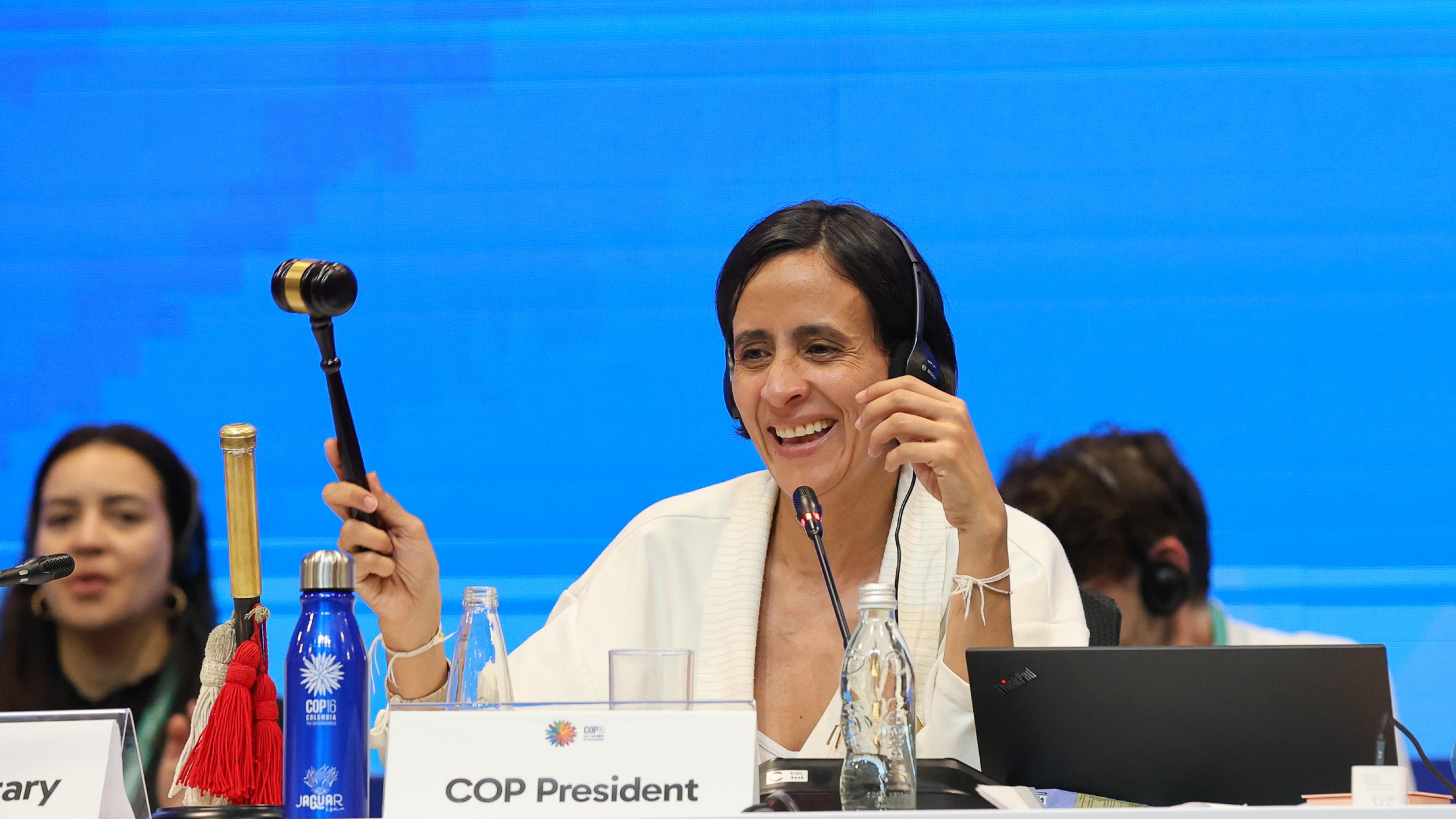 Muhamad mit Konferenzhammer, lächelnd