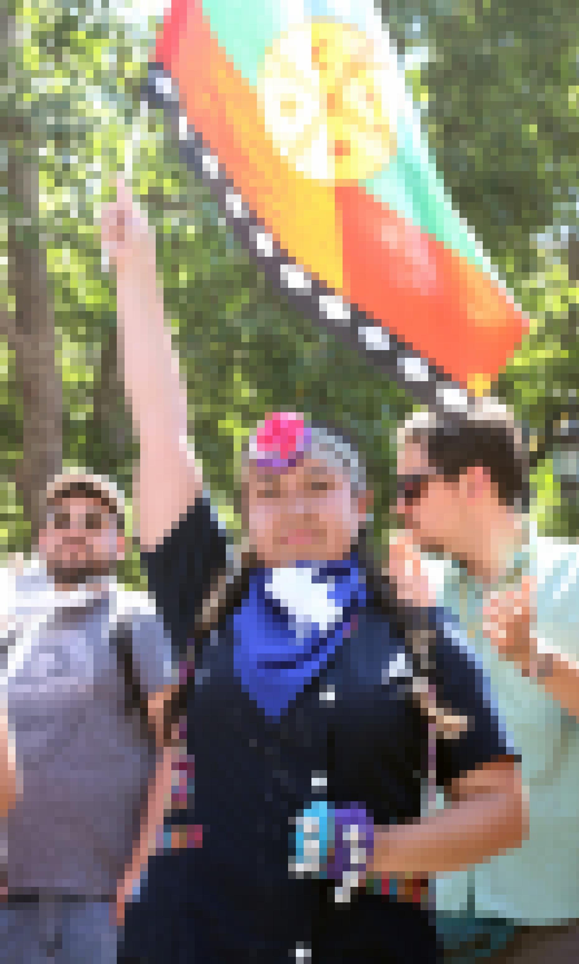 Eine Frau hält die Flagge der Mapuche hoch.