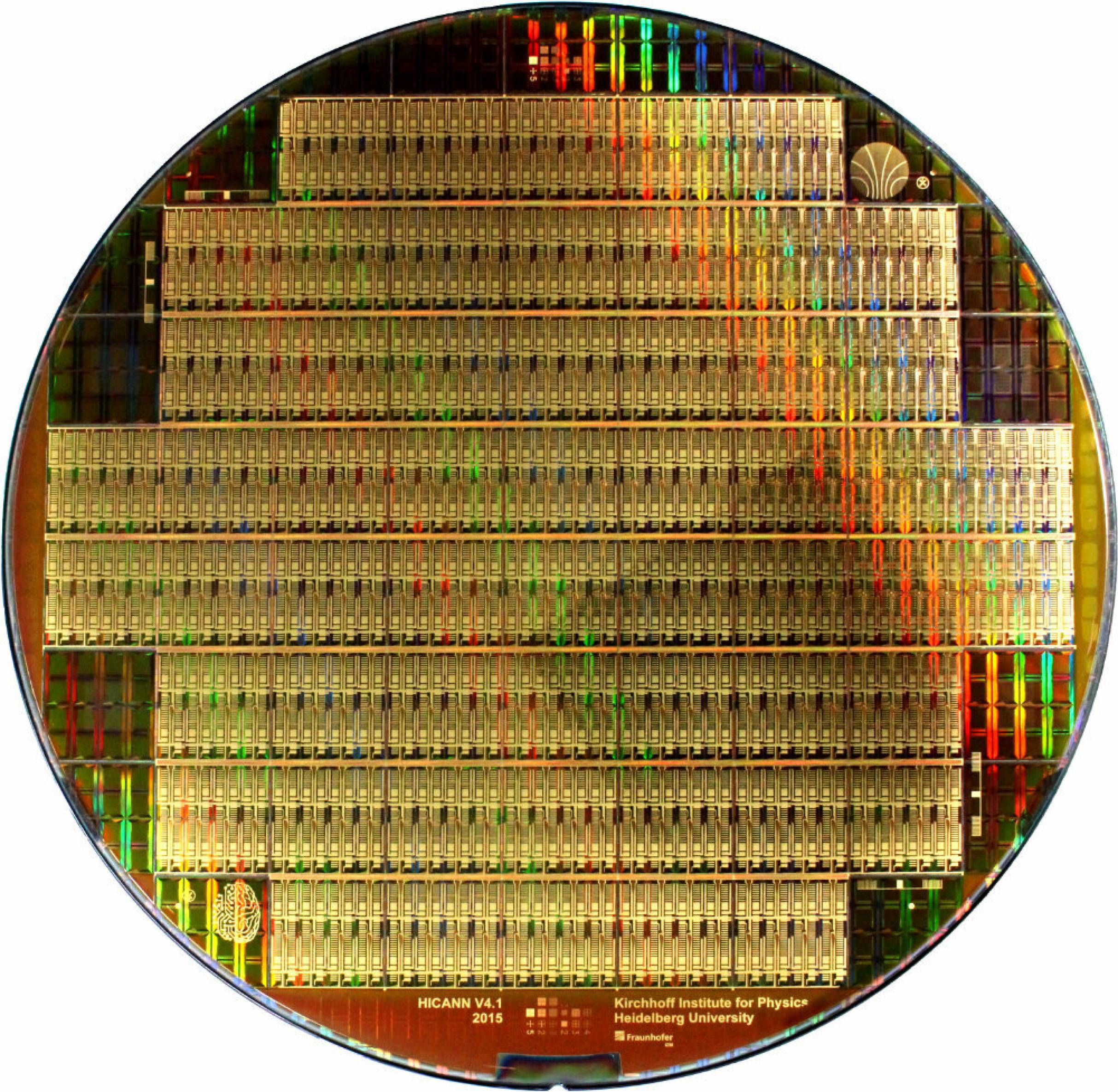 Ein Chip des neuromorphen Rechners Brainscales der Universität Heidelberg. Er besitzt knapp 200.000 künstliche Neuronen und 44 Millionen künstliche Synapsen.