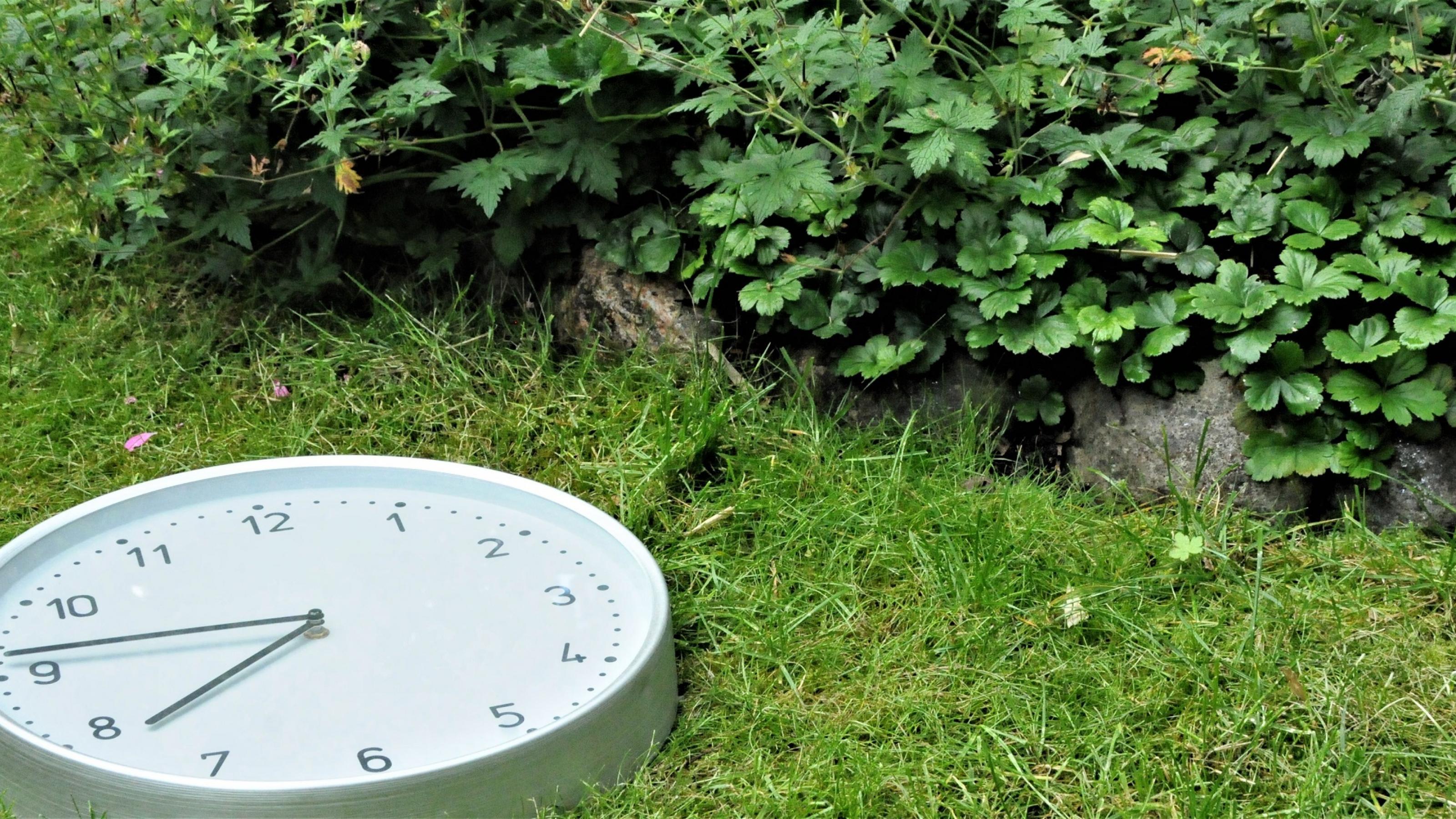 Eine Uhr liegt im Rasen neben einem Blumenbeet. Die Uhr steht auf viertel vor acht.