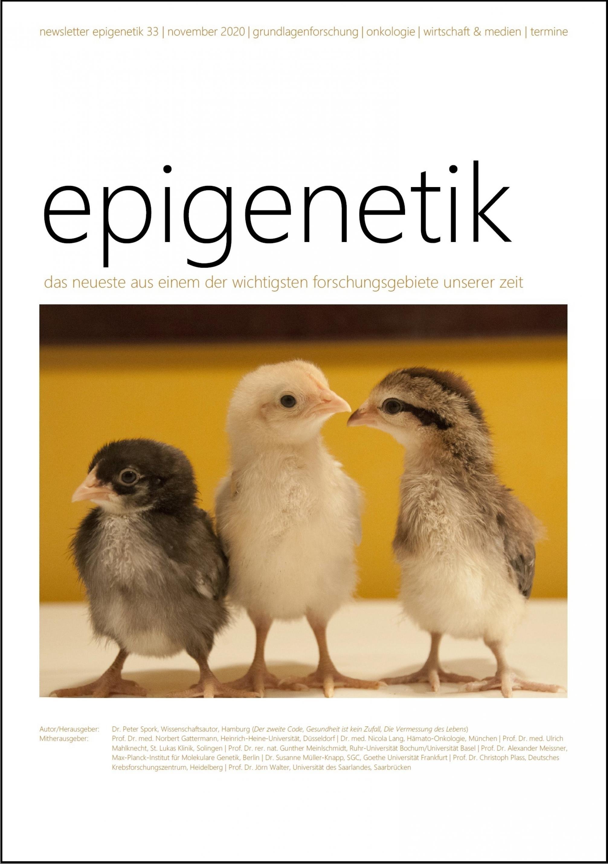 newsletter epigenetik 33 / November 2020 / das neueste aus einem der wichtigsten forschungsgebiete unserer zeit