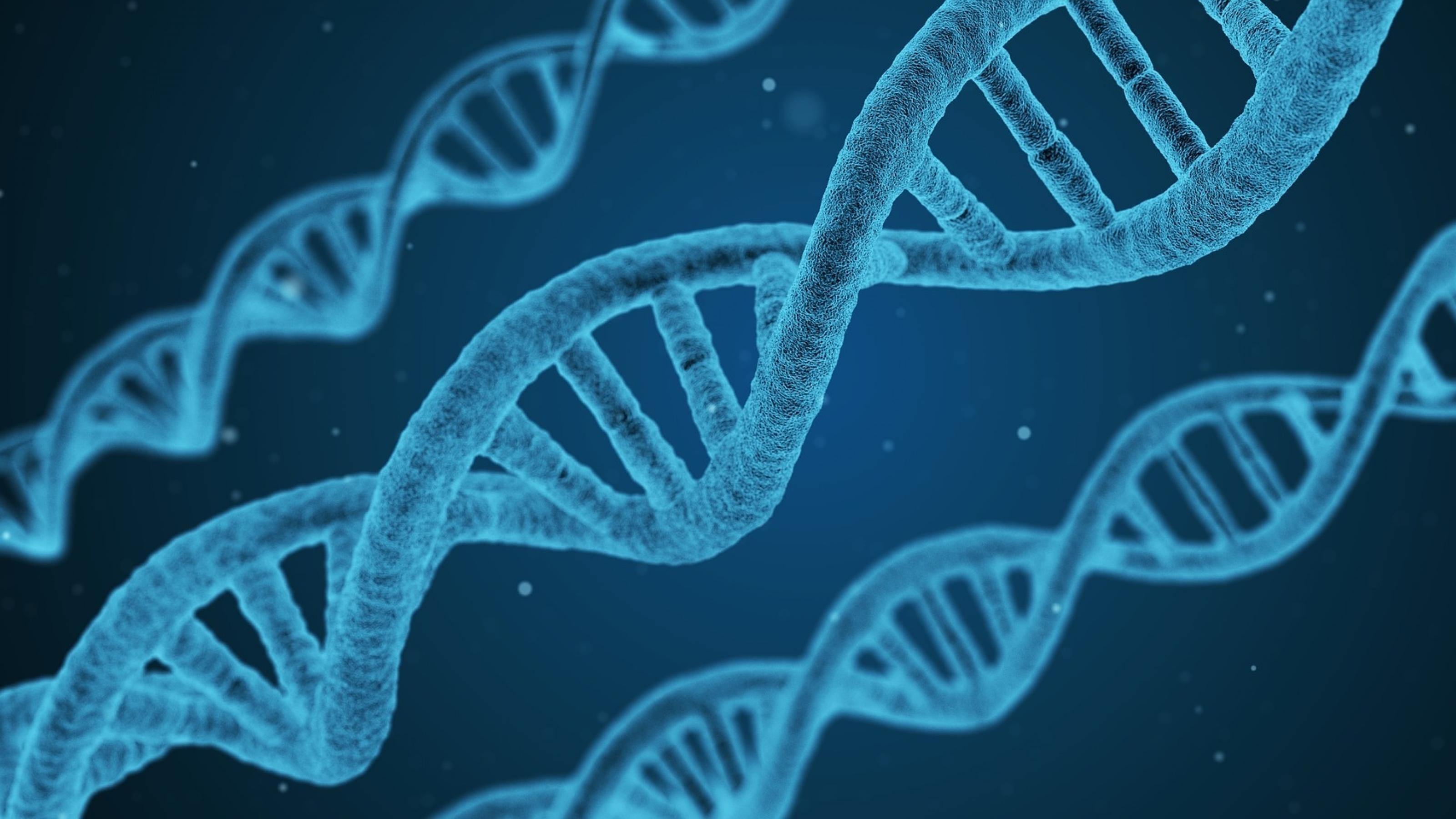 Symbolische Darstellung der Struktur der DNA