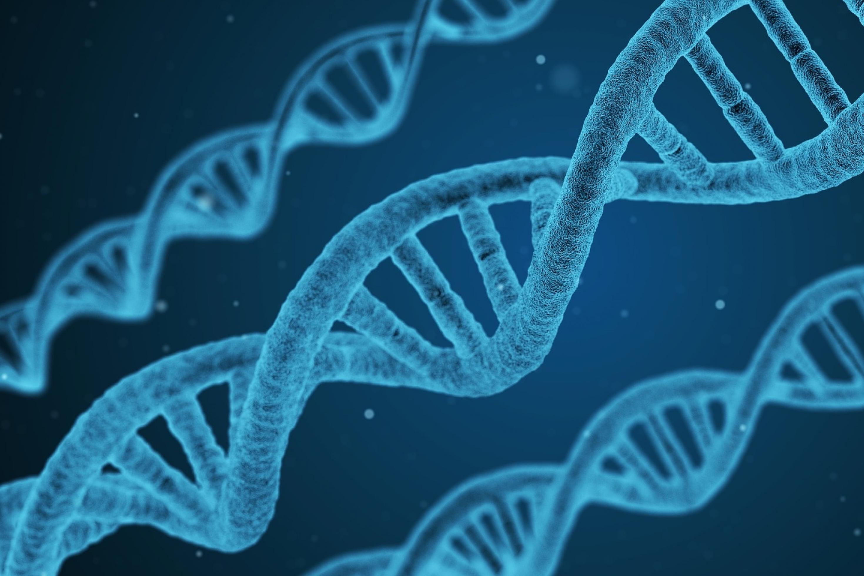 Symbolische Darstellung der Struktur der DNA
