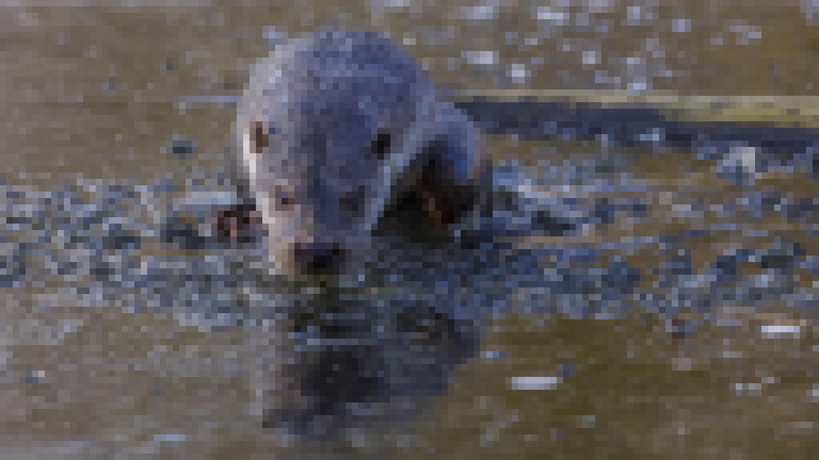 Ein Fischotter, der aus einem eisigen Fluss auftaucht