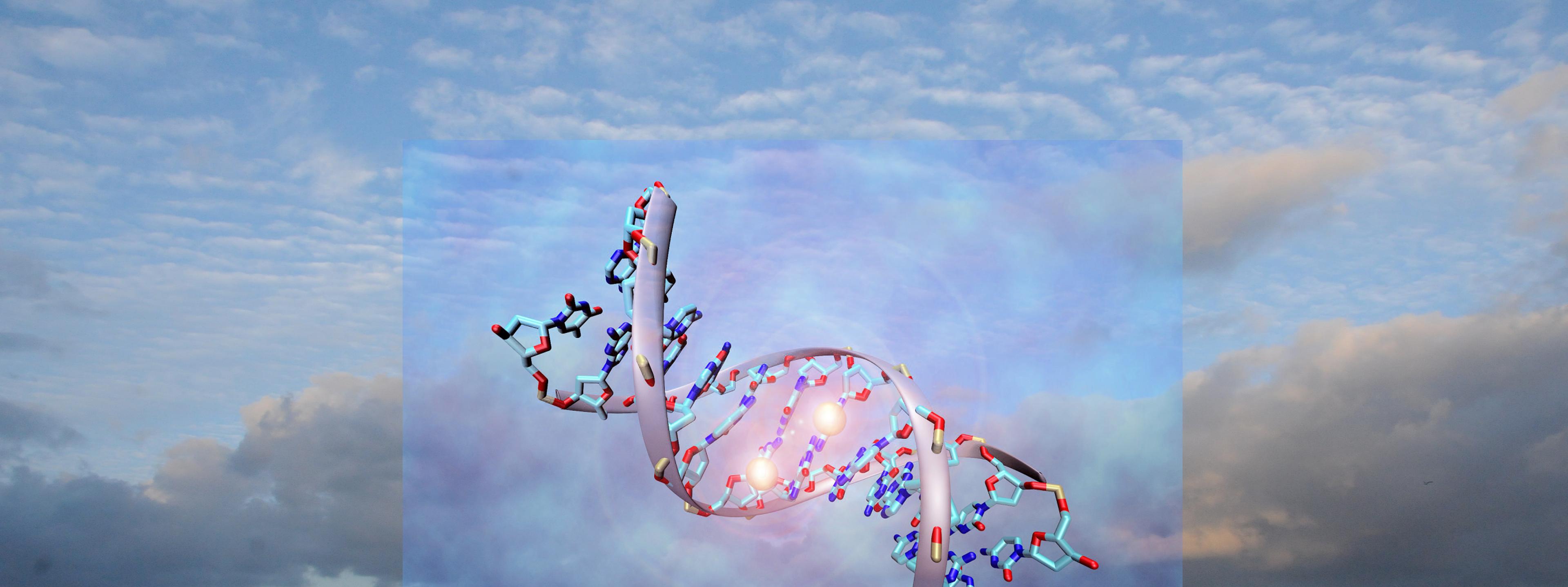 Eine gezeichnete DNA-Doppelhelix mit angelagerten Methylgruppen schwebt in der Luft vor dem Himmel über der See in Holland.