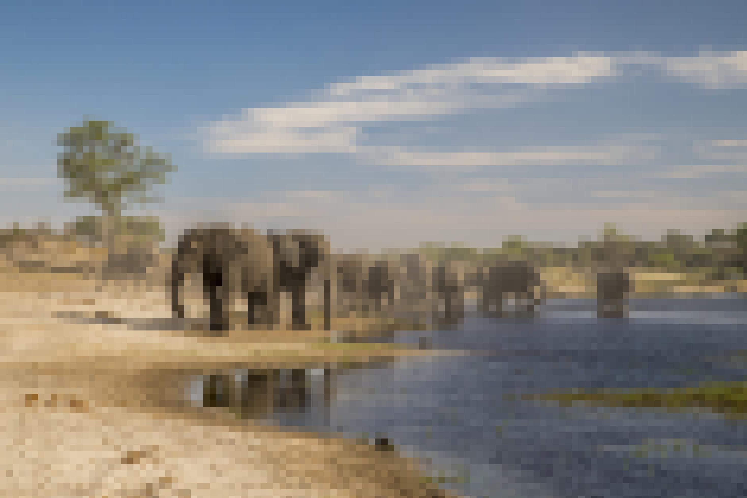 Nach langer Wanderung durch ausgedörrte Landschaft erreicht die Elefantenherde einen Fluss im Makgadikgadi-Delta in Botswana.