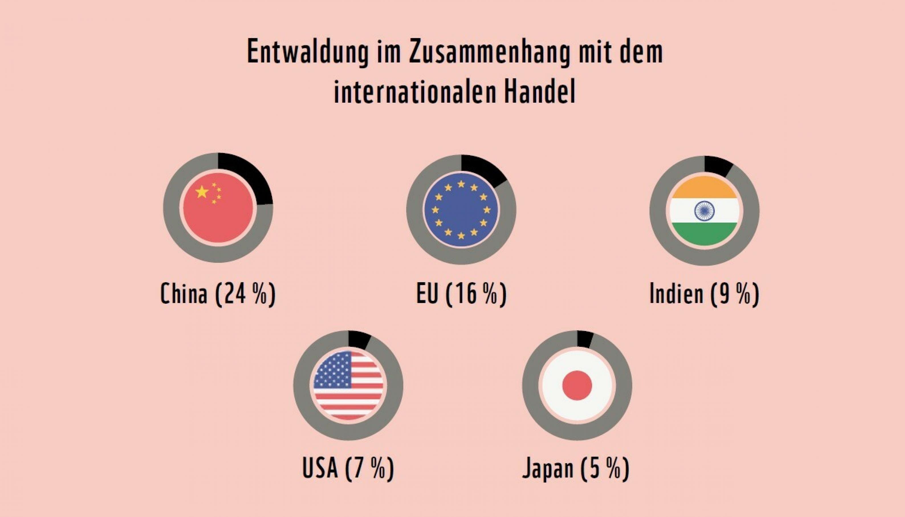 Die Europäische Union ist weltweit der zweitgrößte Verursacher für die Entwaldung.